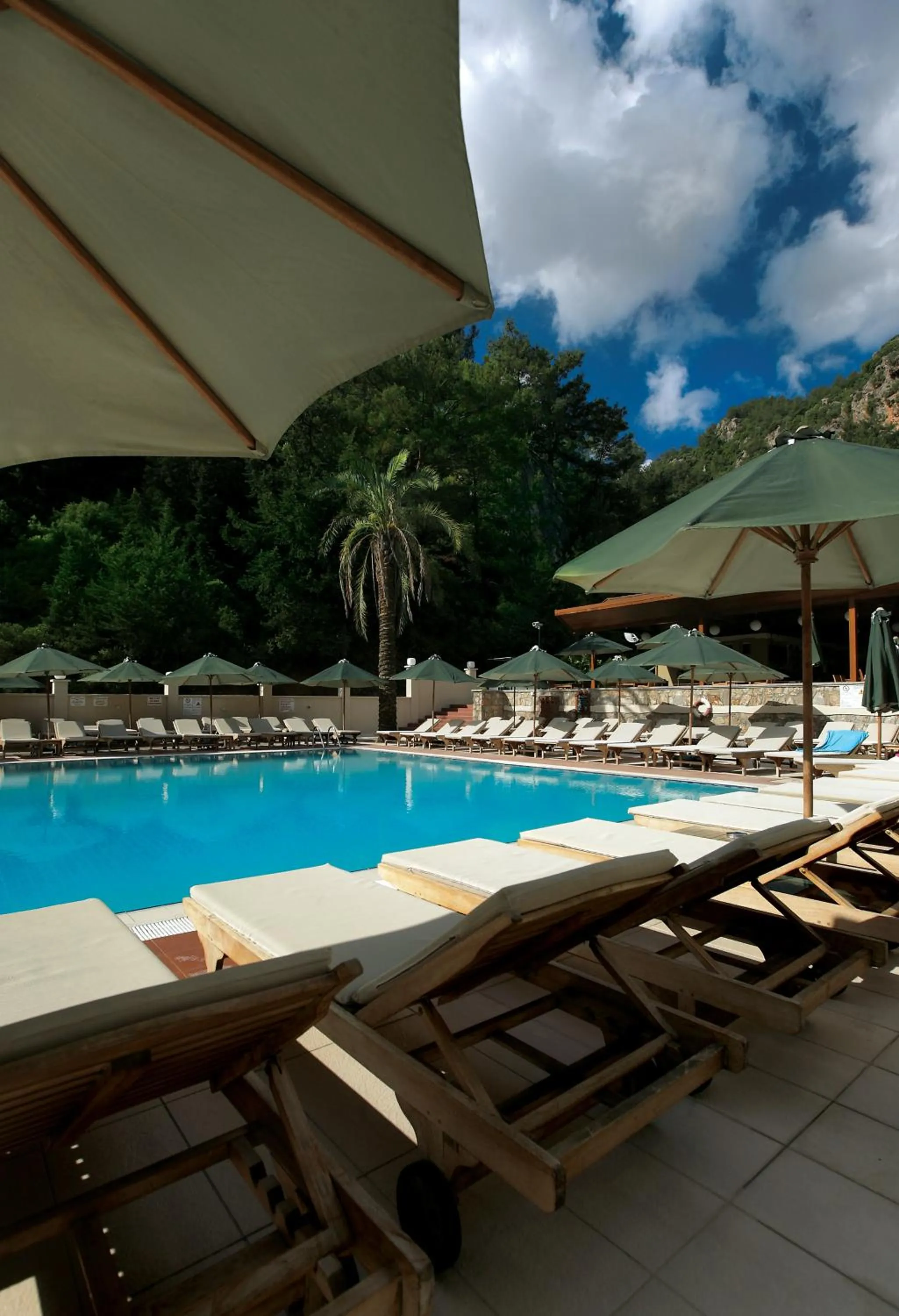 Swimming pool in Julian Forest Suites