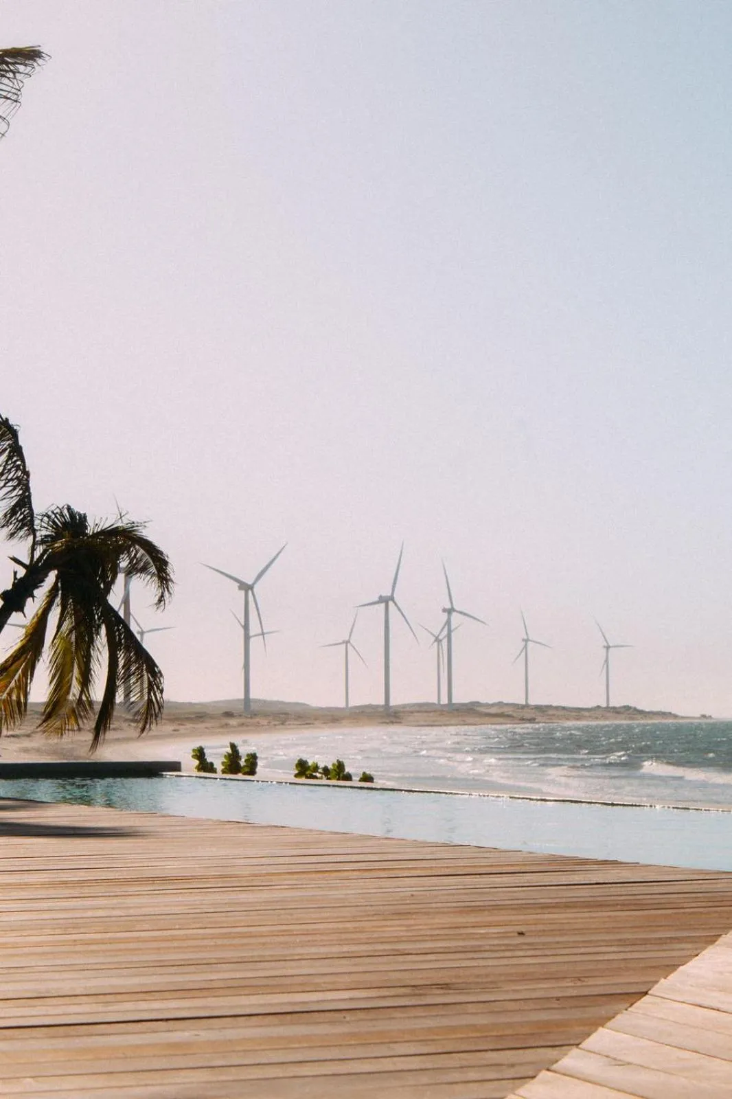 Natural landscape in Villa Mango