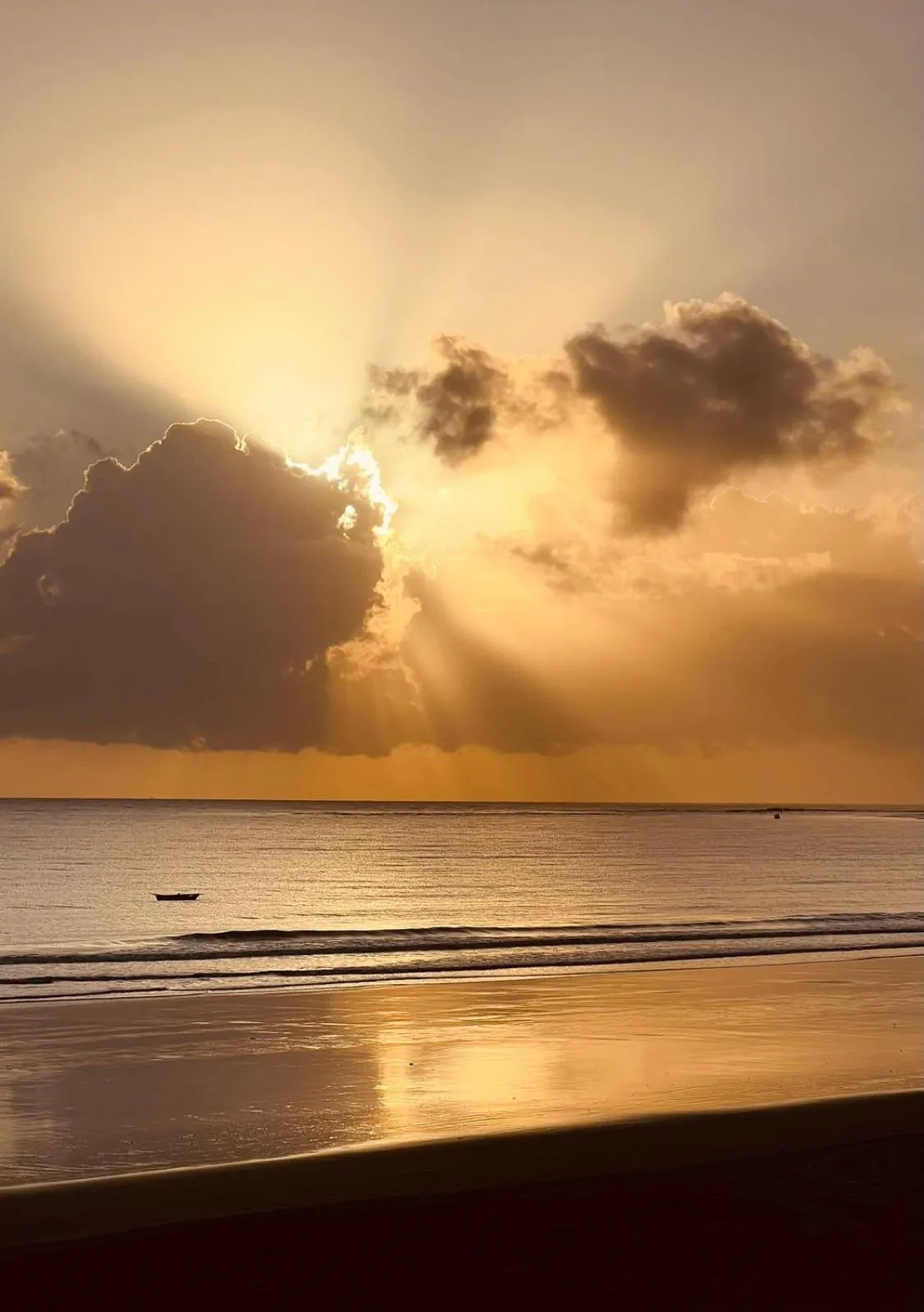 Natural landscape in Villa Mango