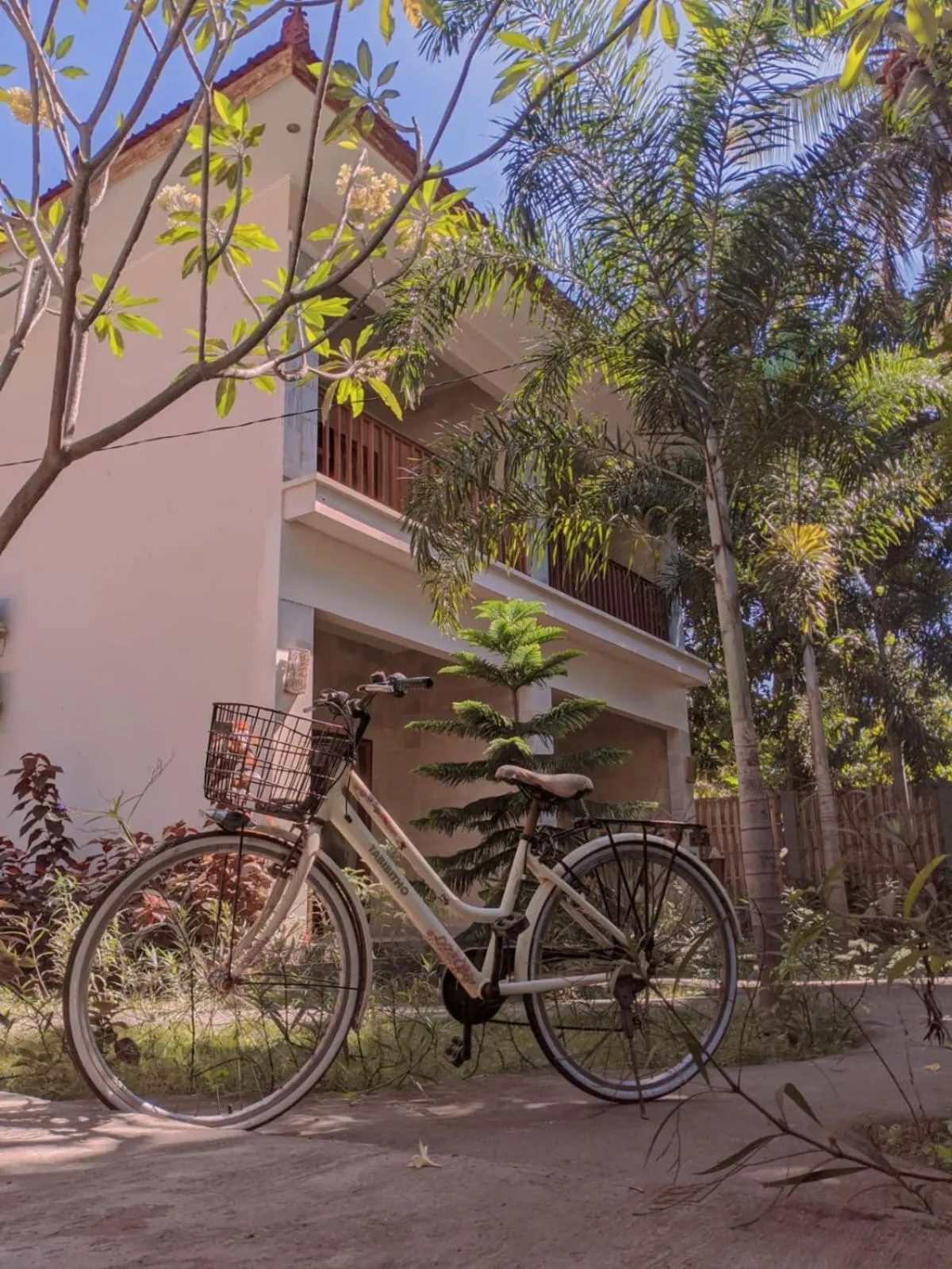 Follow Your Dreams Gili Air