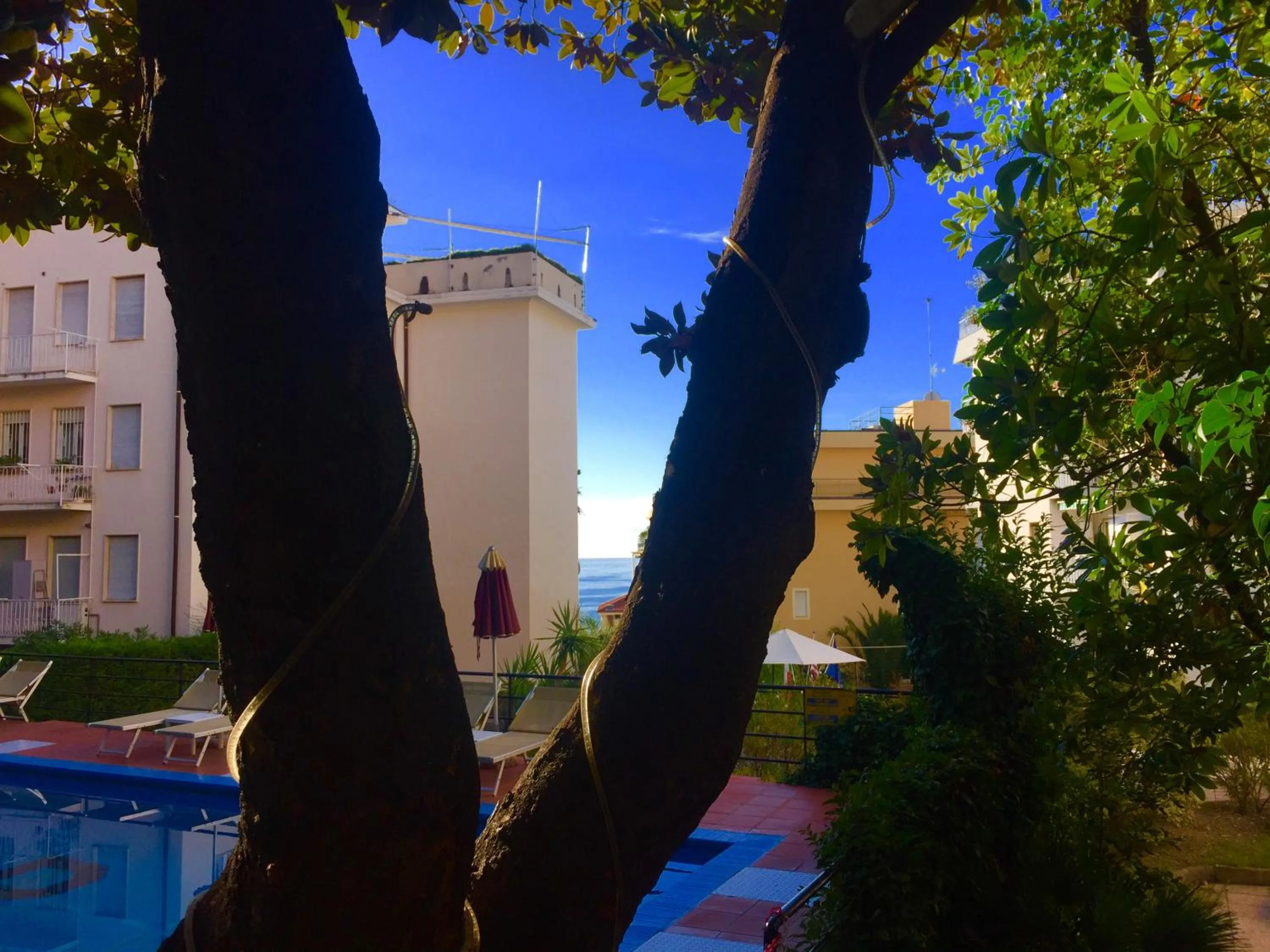 Garden in Hotel Principe