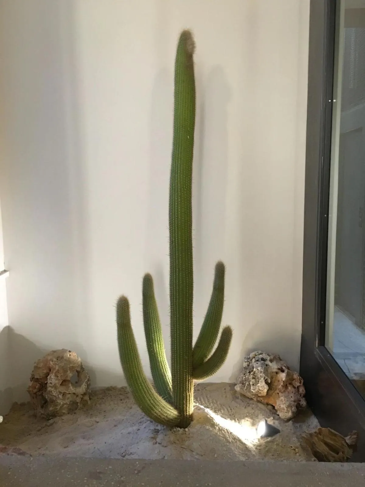 Decorative detail in Hotel Giolli Nazionale