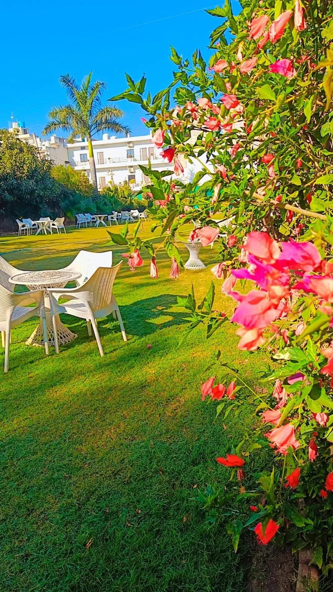 Garden view in Green Club Farm