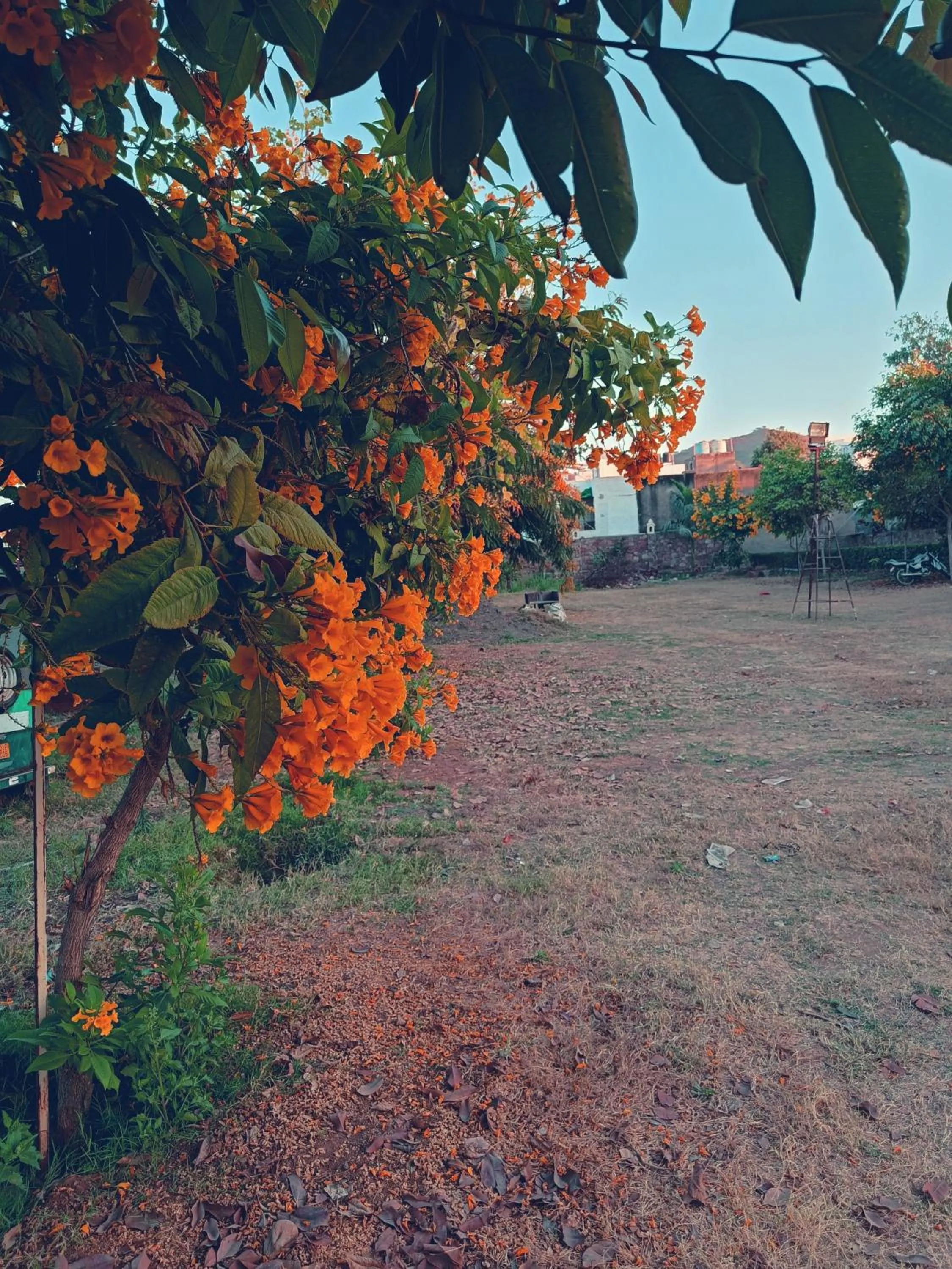 Garden in Green Club Farm