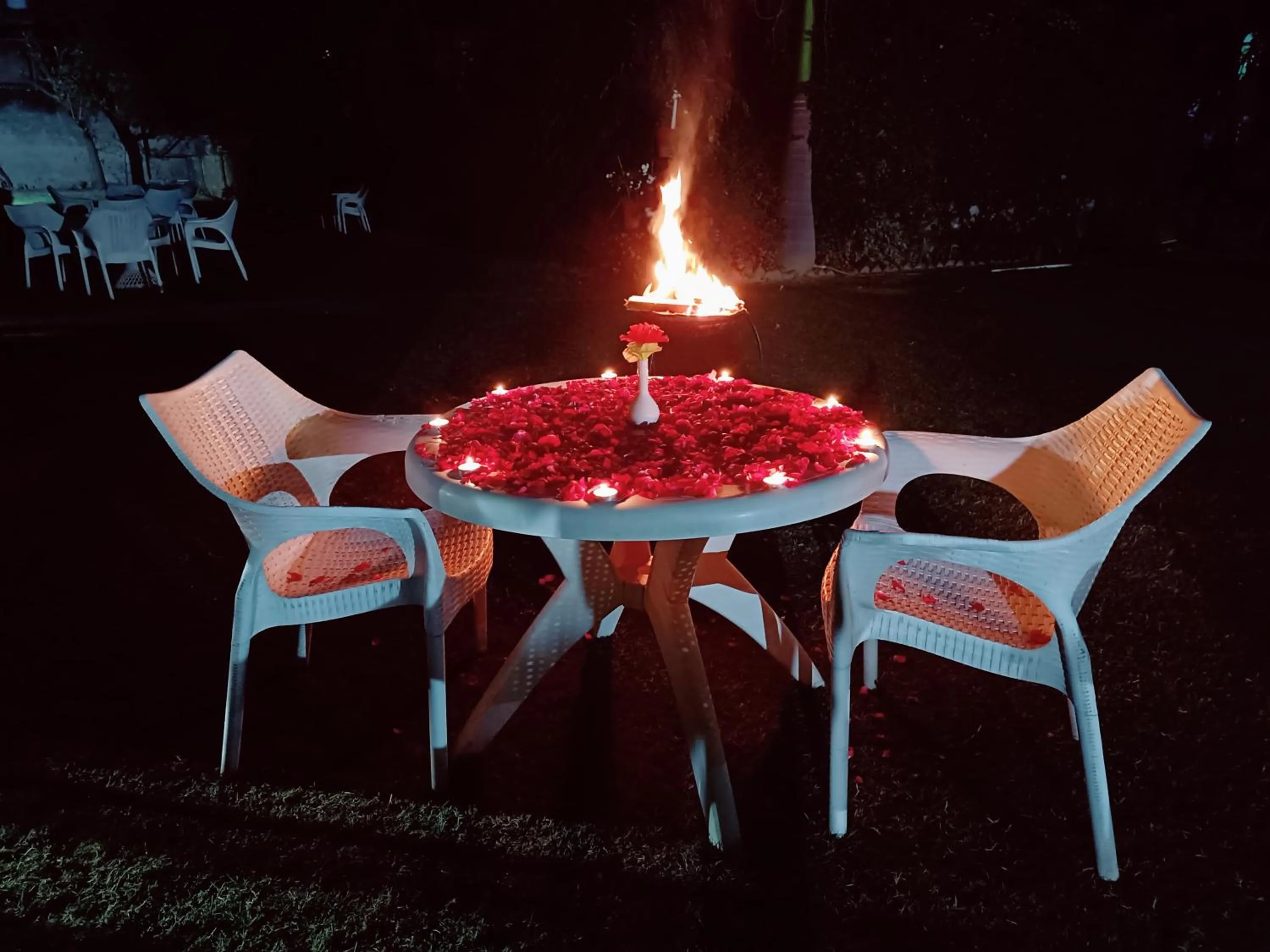 Night in Green Club Farm