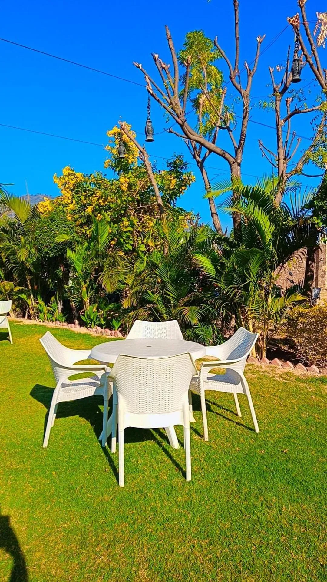 Restaurant/places to eat in Green Club Farm