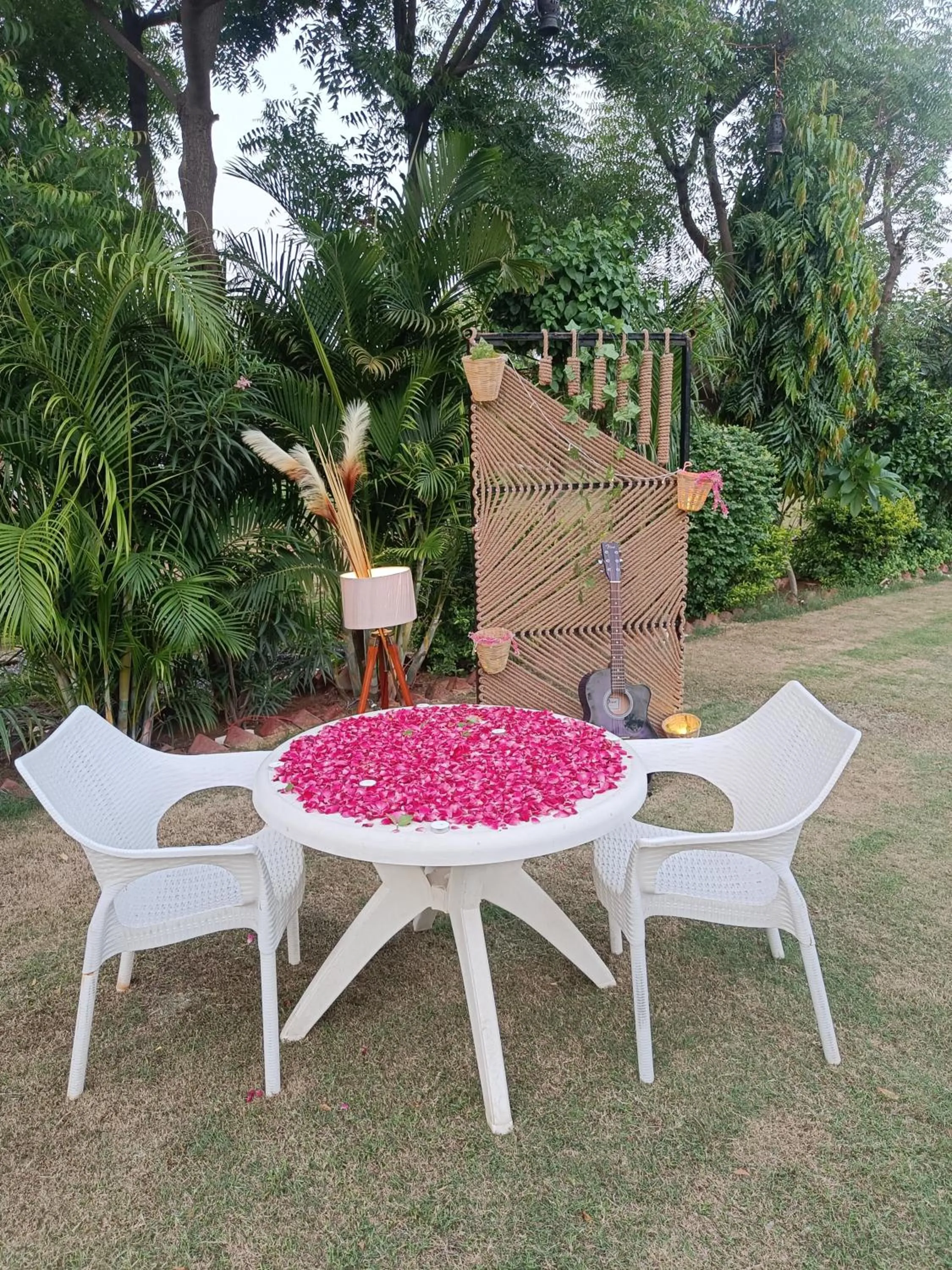 Dinner in Green Club Farm