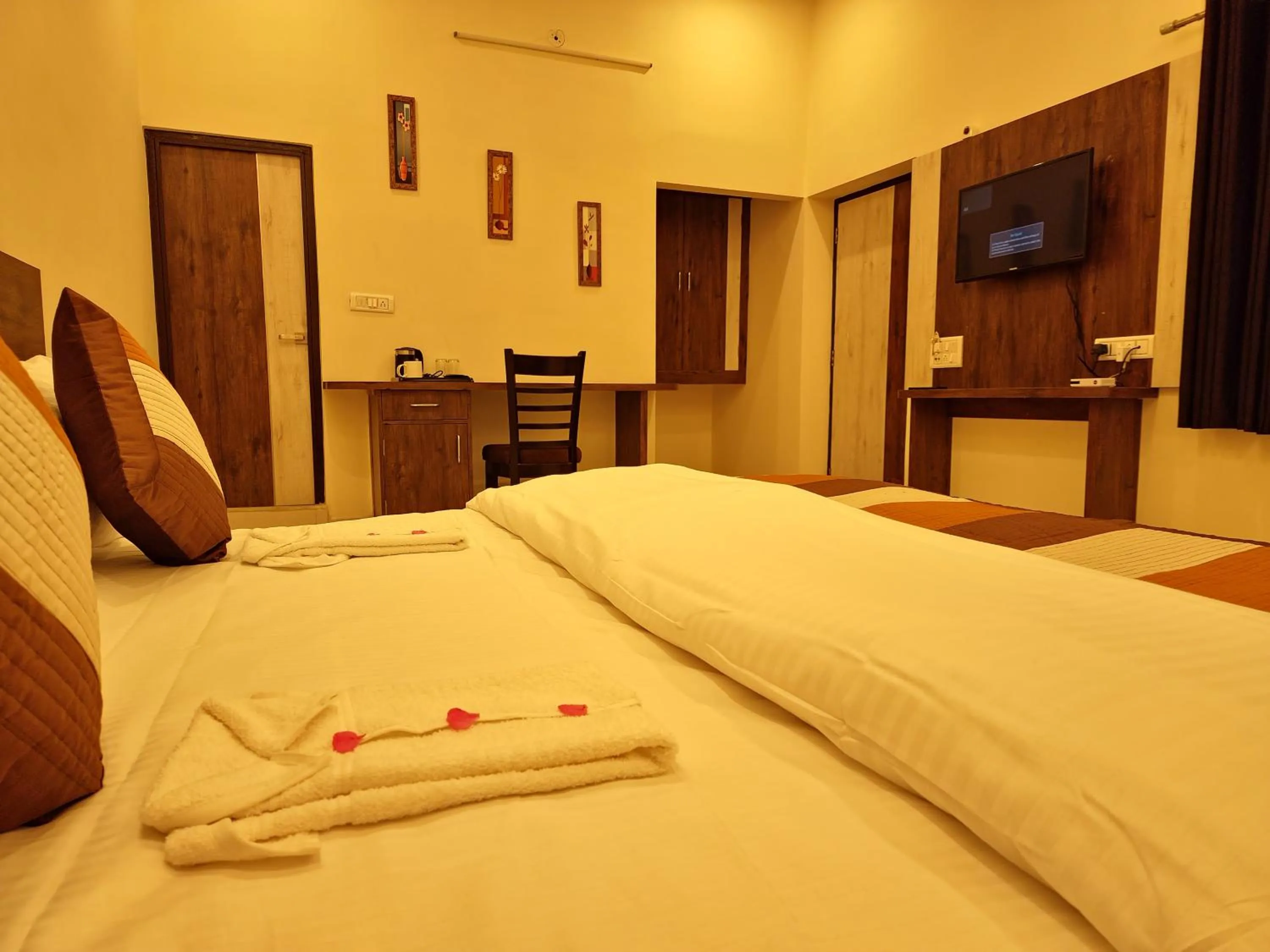 Photo of the whole room in Green Club Farm