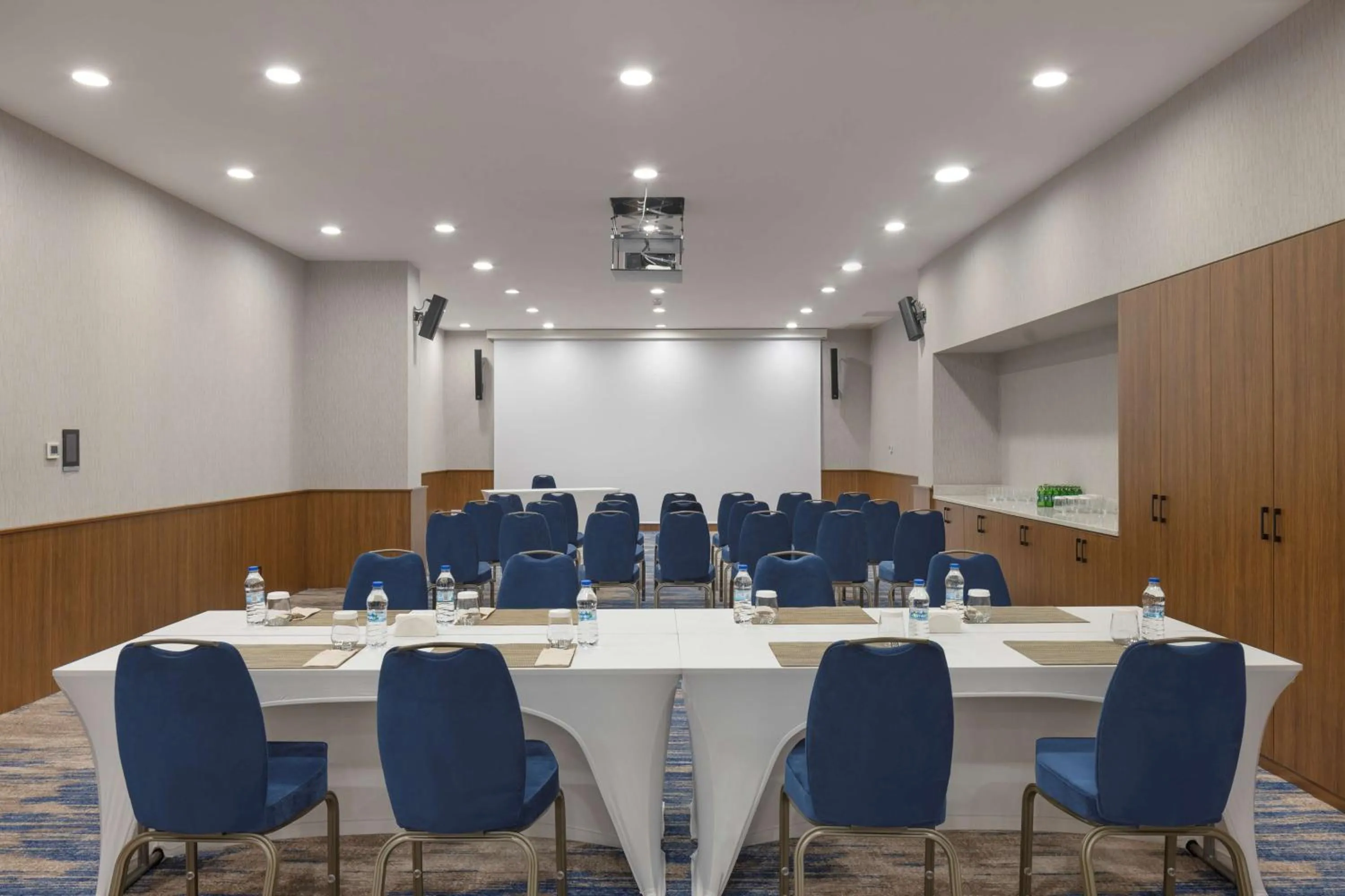 Meeting/conference room in Hampton By Hilton Istanbul Airport, Arnavutkoy