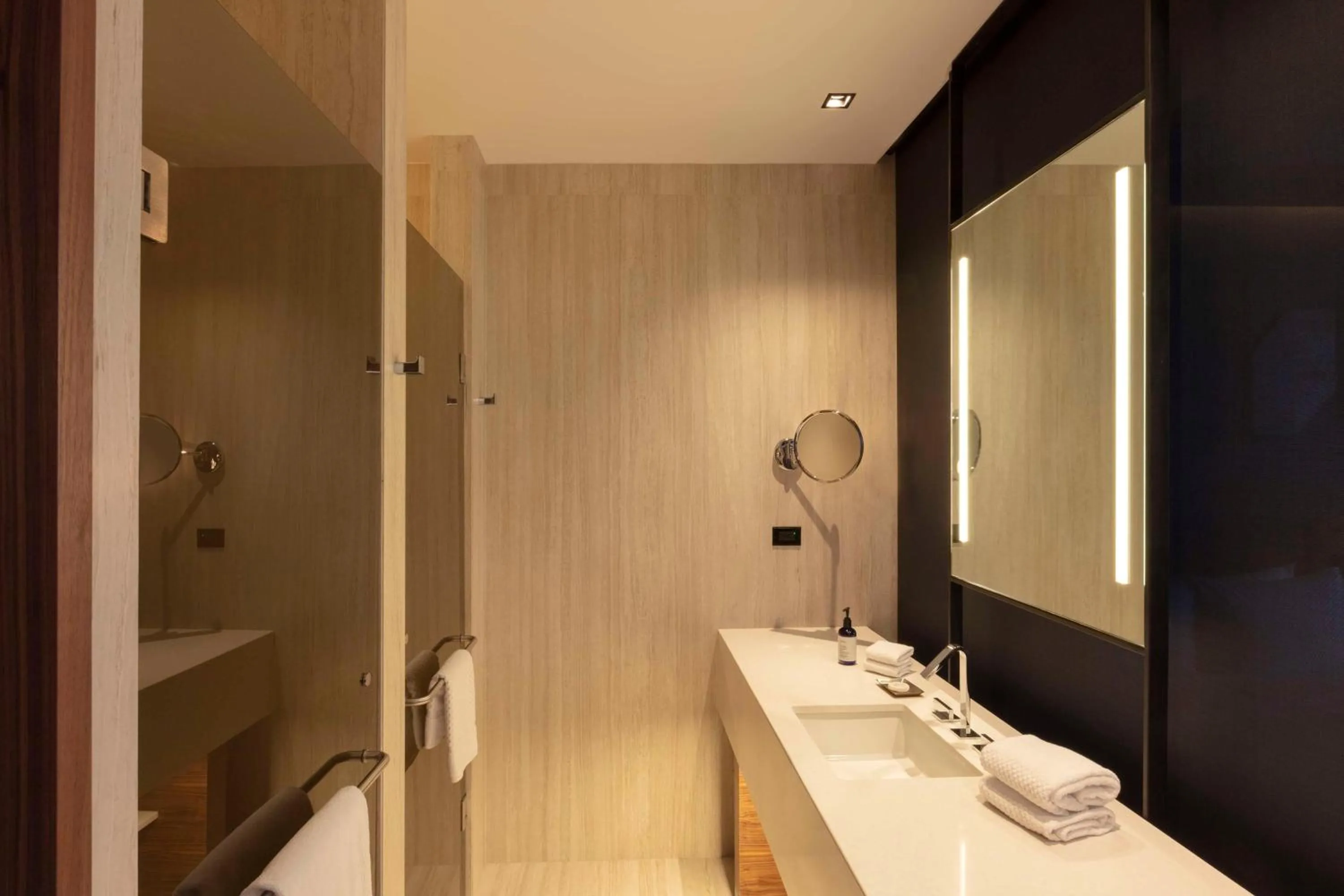 Bathroom in Hilton Monterrey Valle