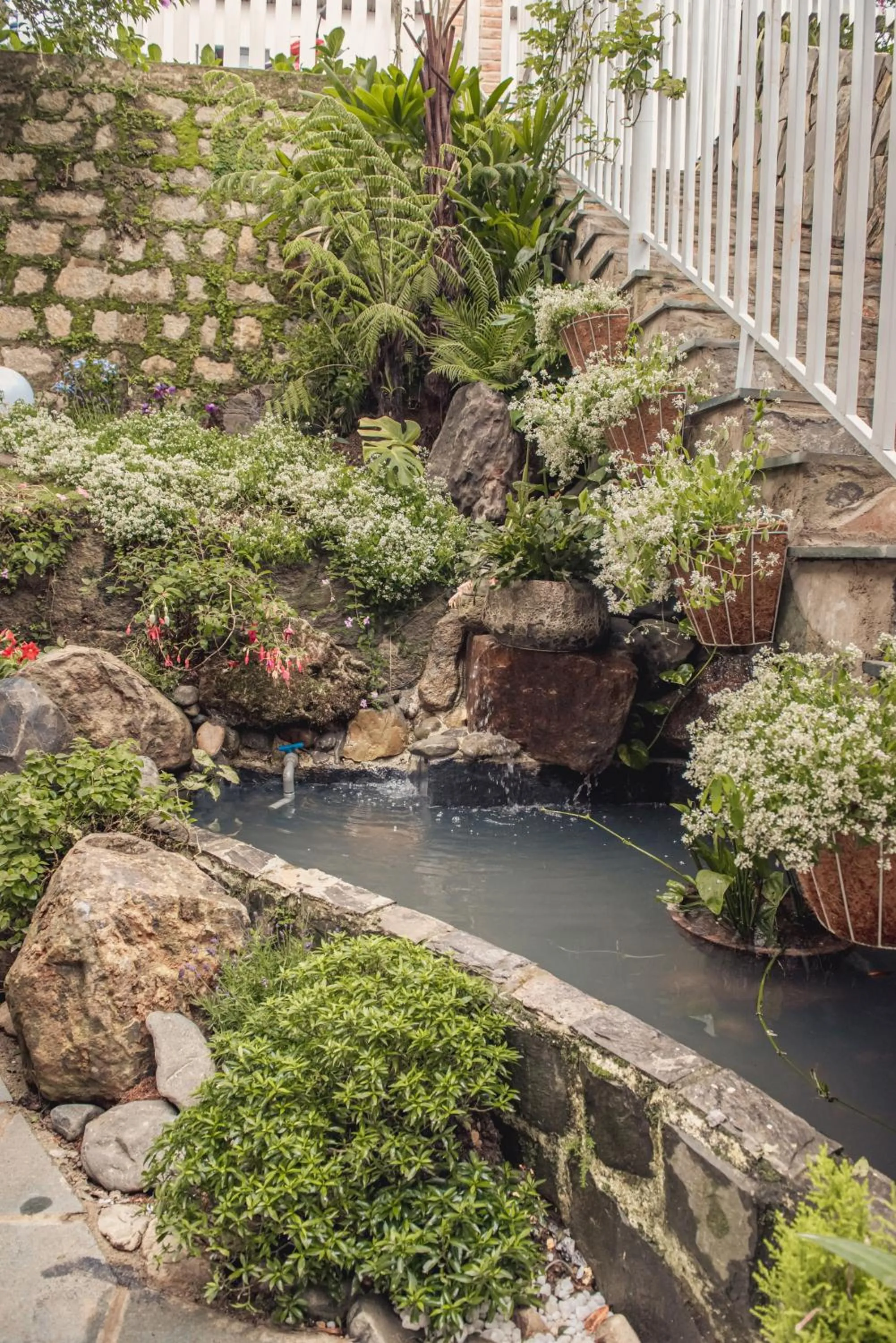 Garden in Villa Hoa Da