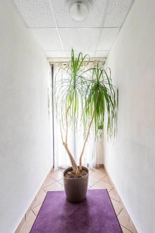 Decorative detail in Hotel Le Palme