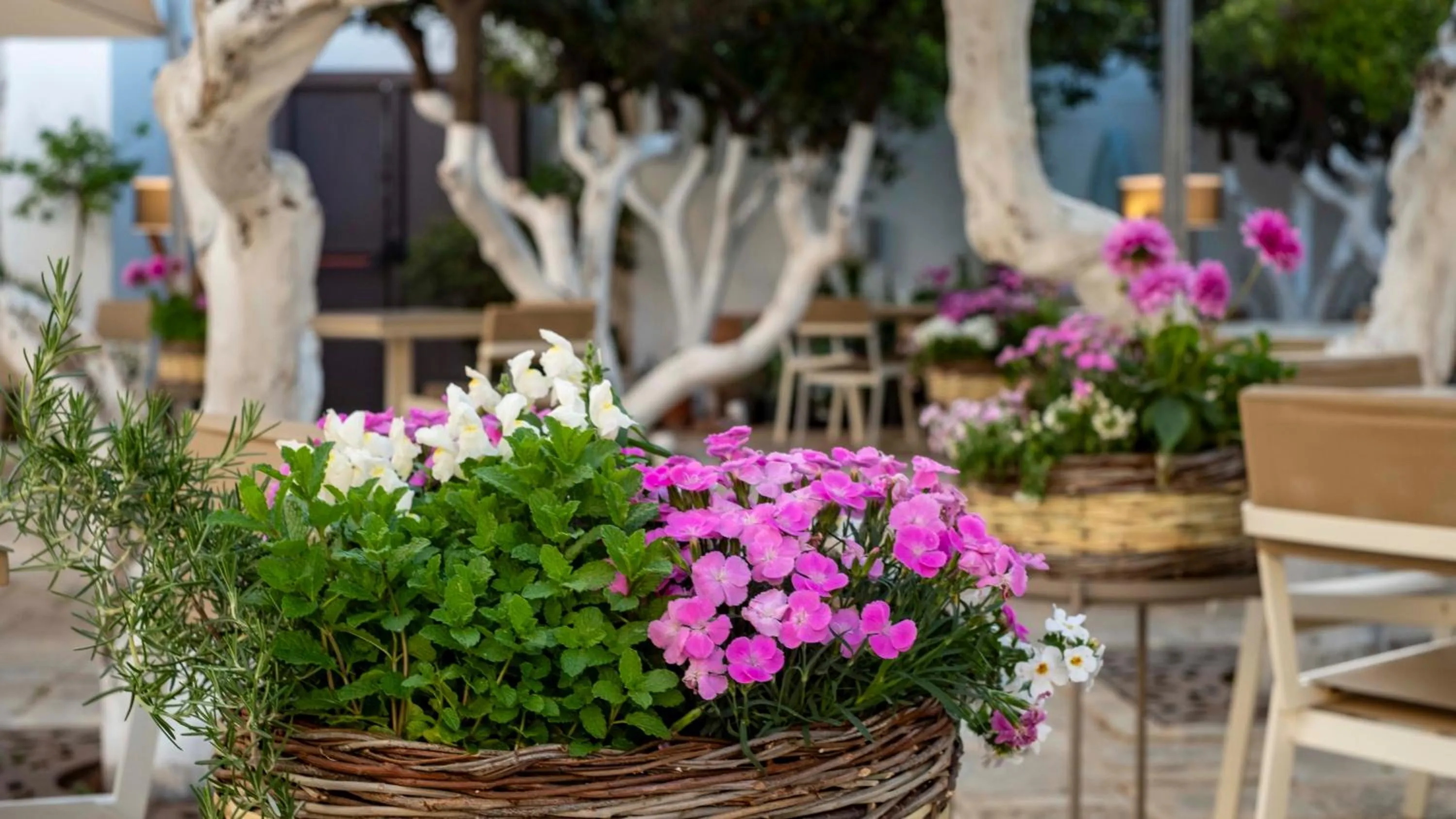 Garden in La Sommità Relais & Chateaux