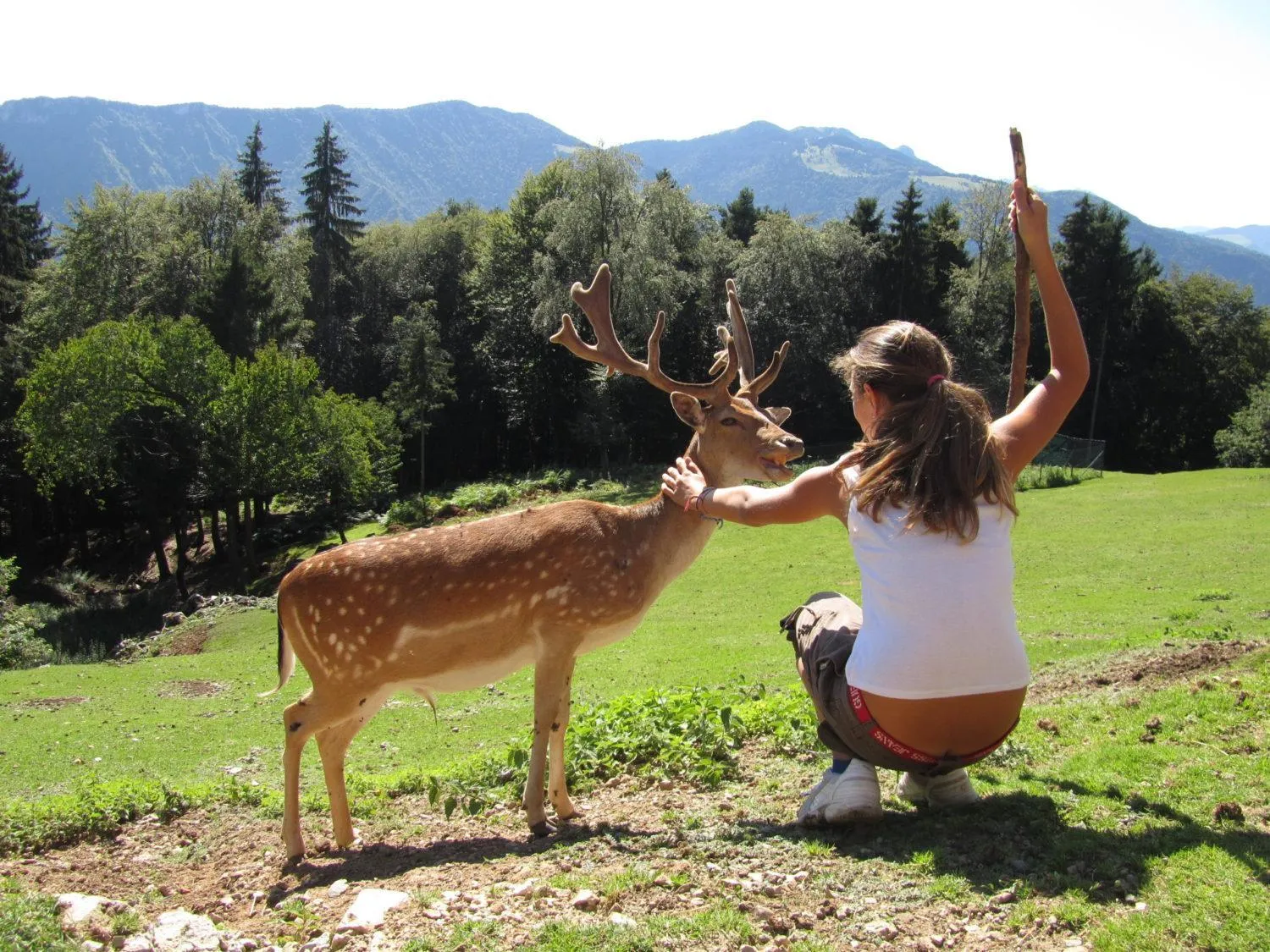 Natural landscape in Hotel Miralago