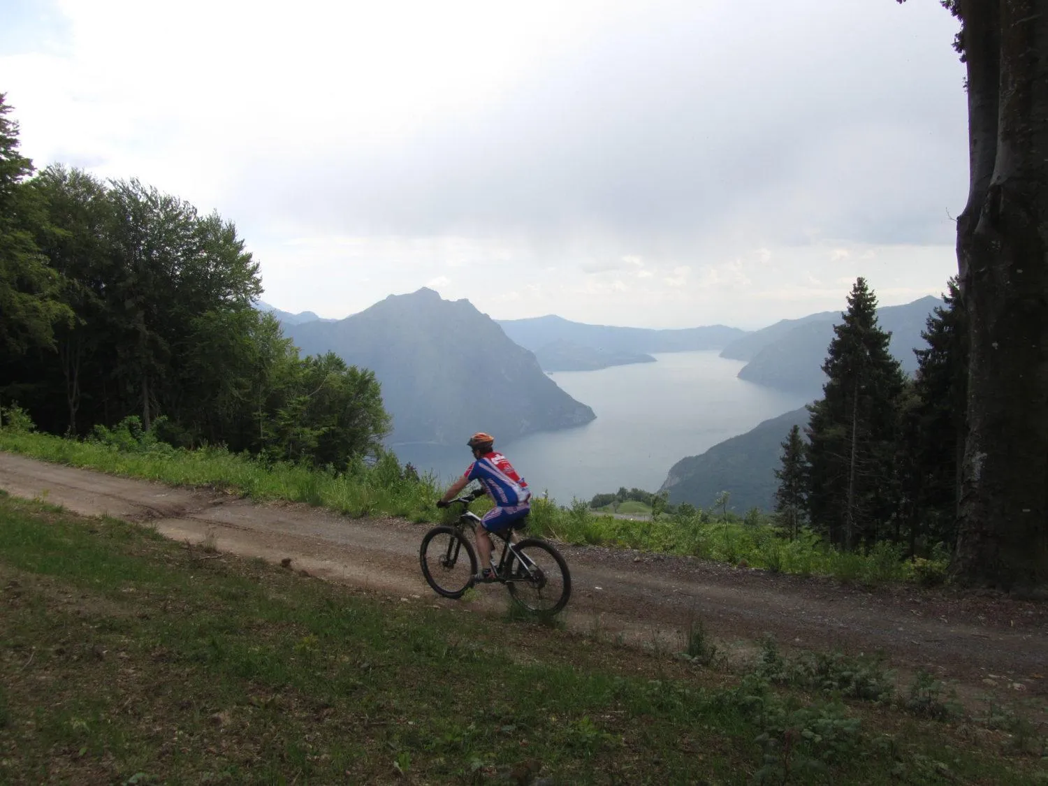 Natural landscape in Hotel Miralago