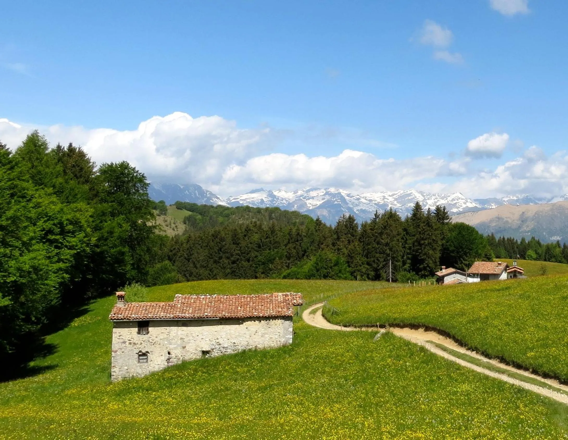 Natural landscape in Hotel Miralago