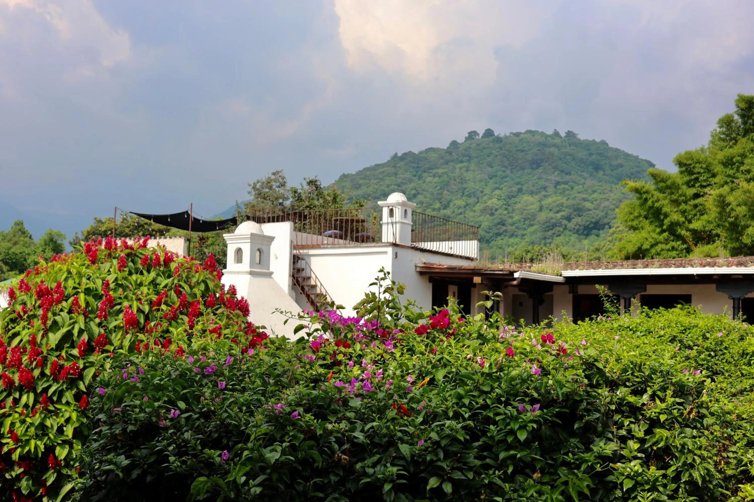 Garden view in Villa de Antaño