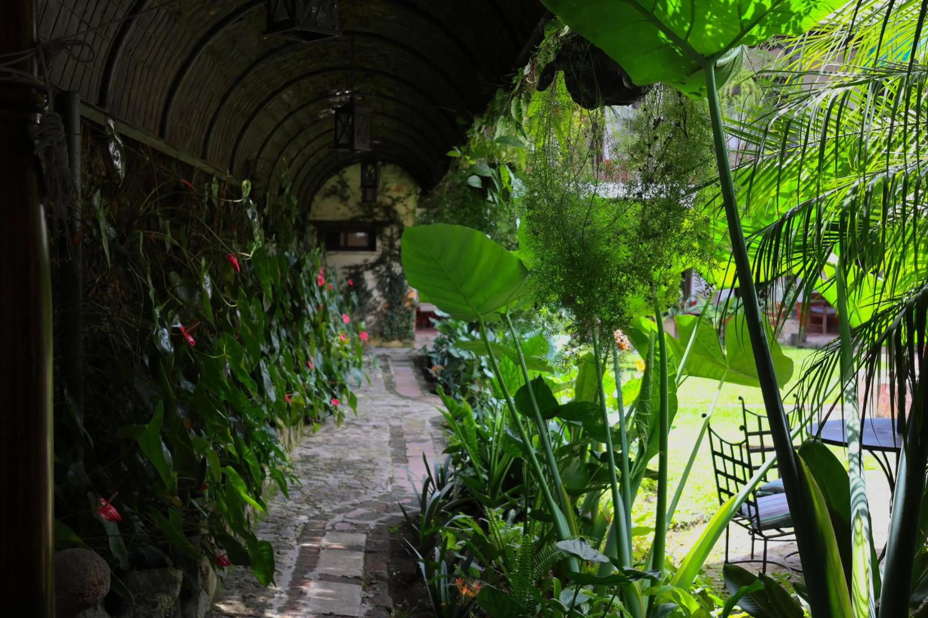 Garden in Villa de Antaño