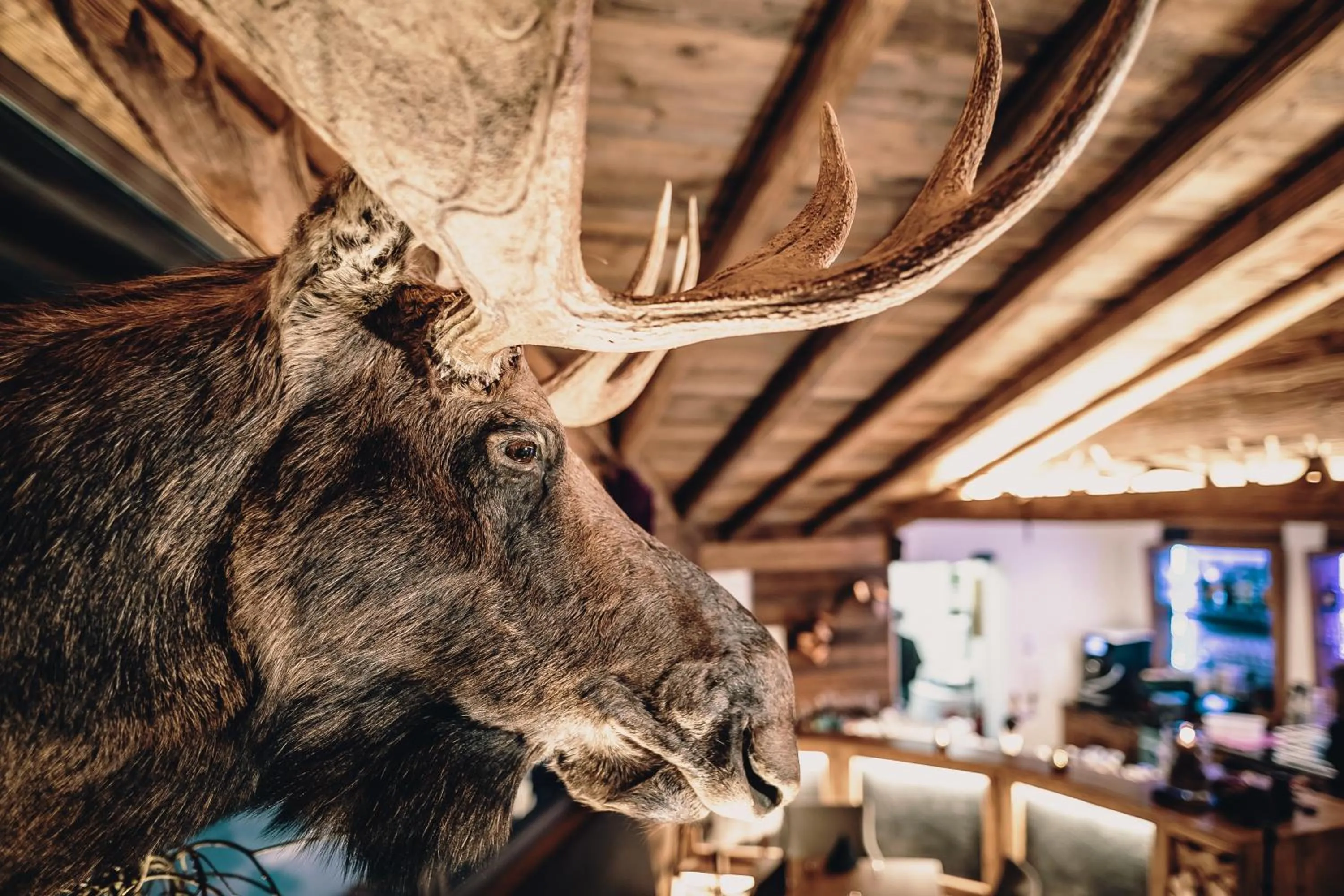 Restaurant/places to eat in Margarethenstein Boutique Hotel