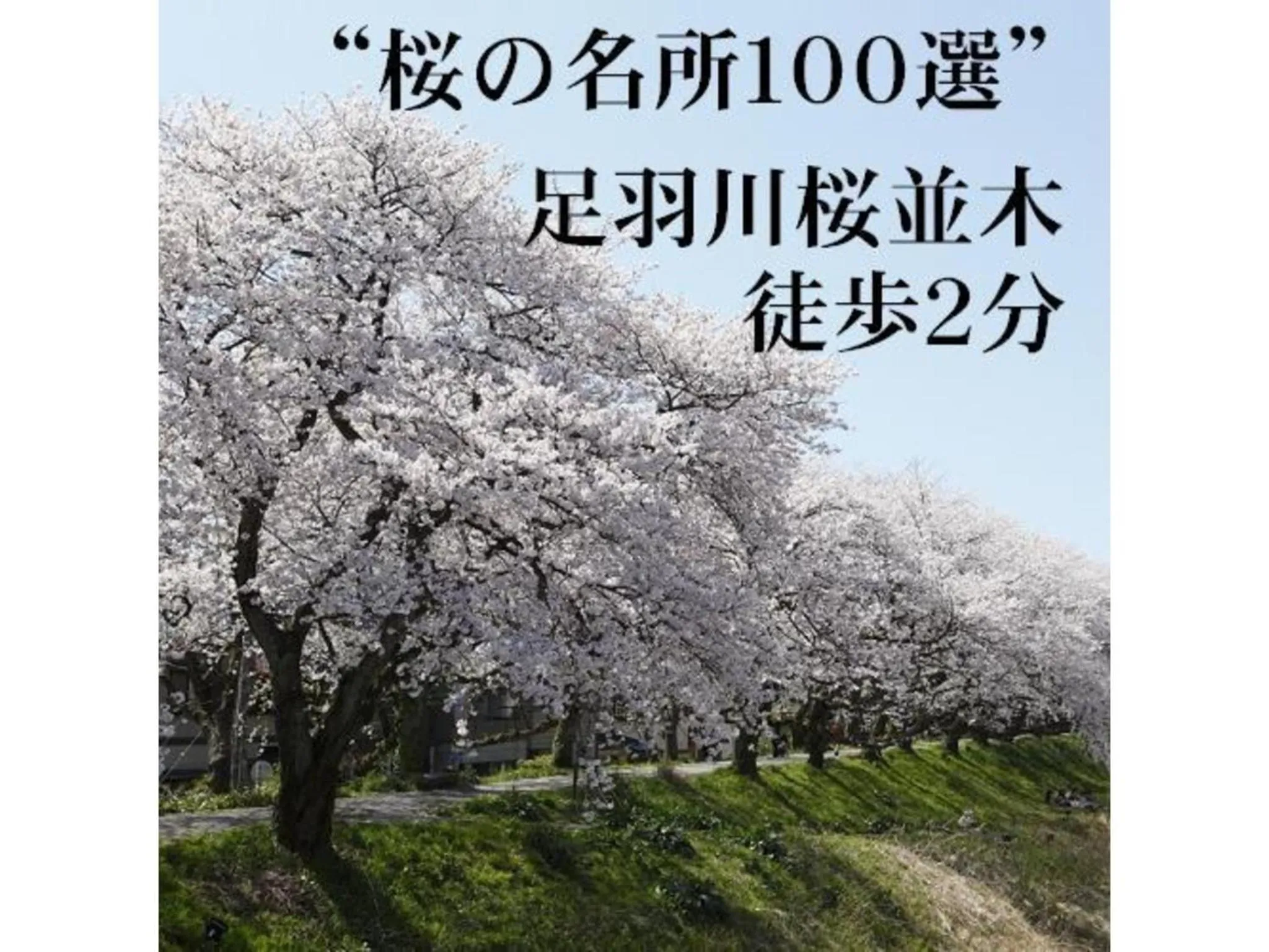 Az Inn Fukui - Vacation STAY 65940v