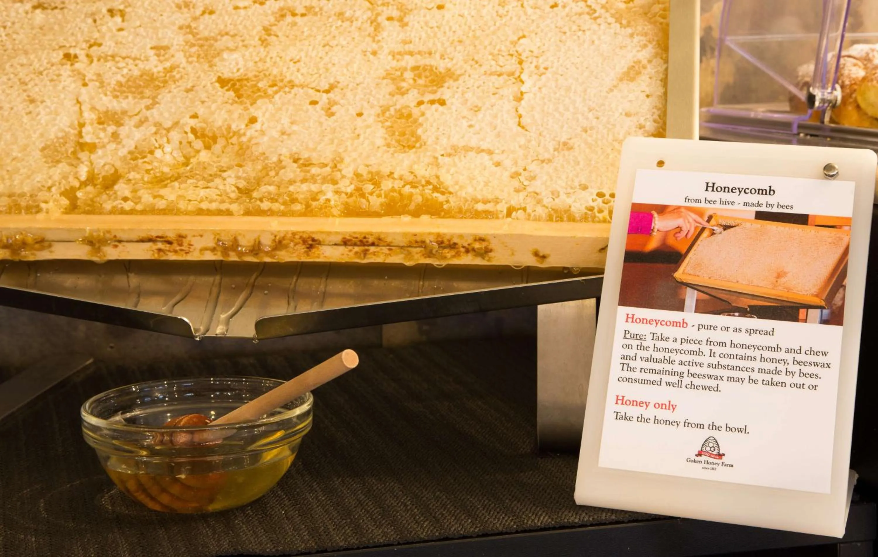 Restaurant/places to eat in Best Western Plus CHC Florence