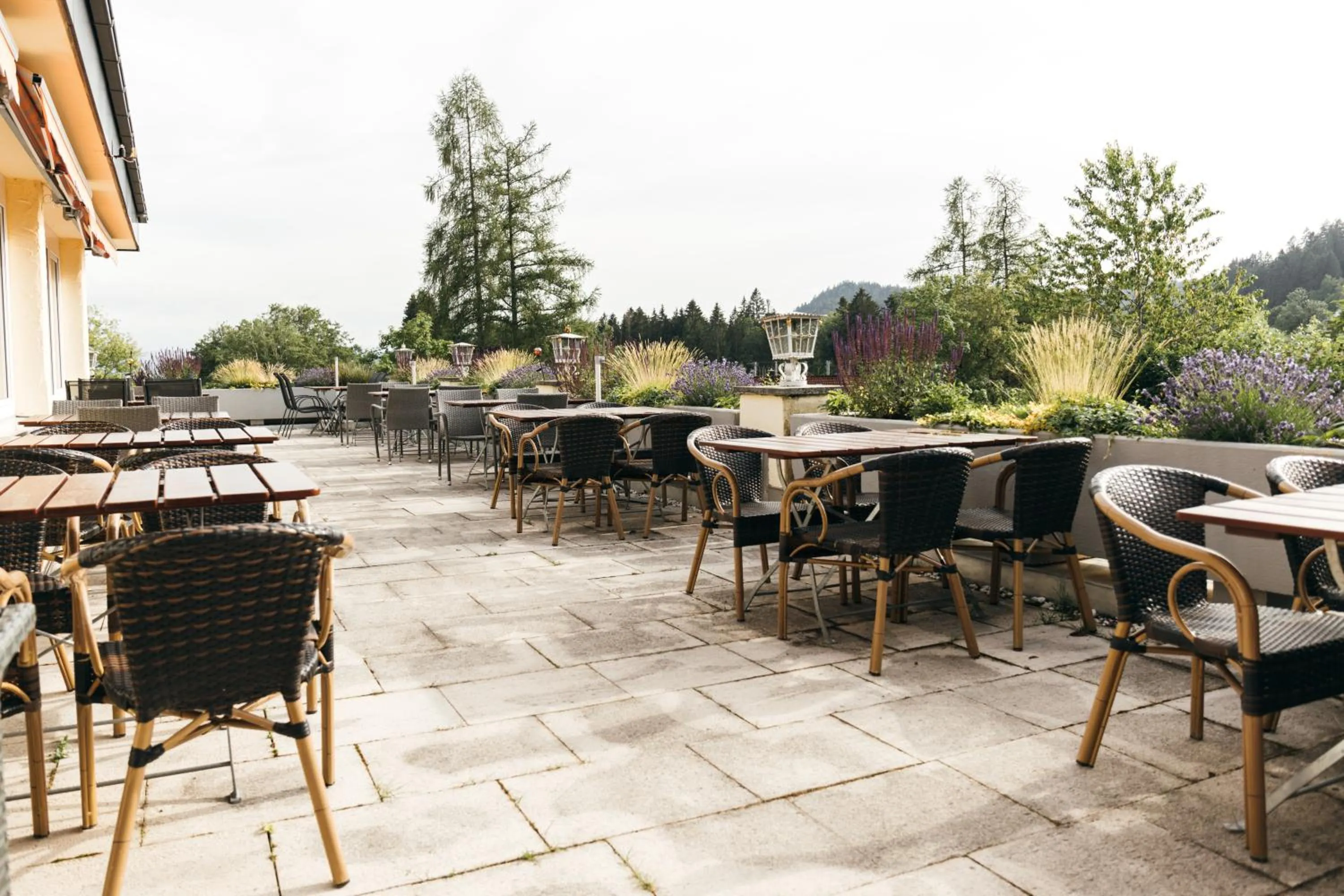 Restaurant/places to eat in Rosenalm Scheidegg