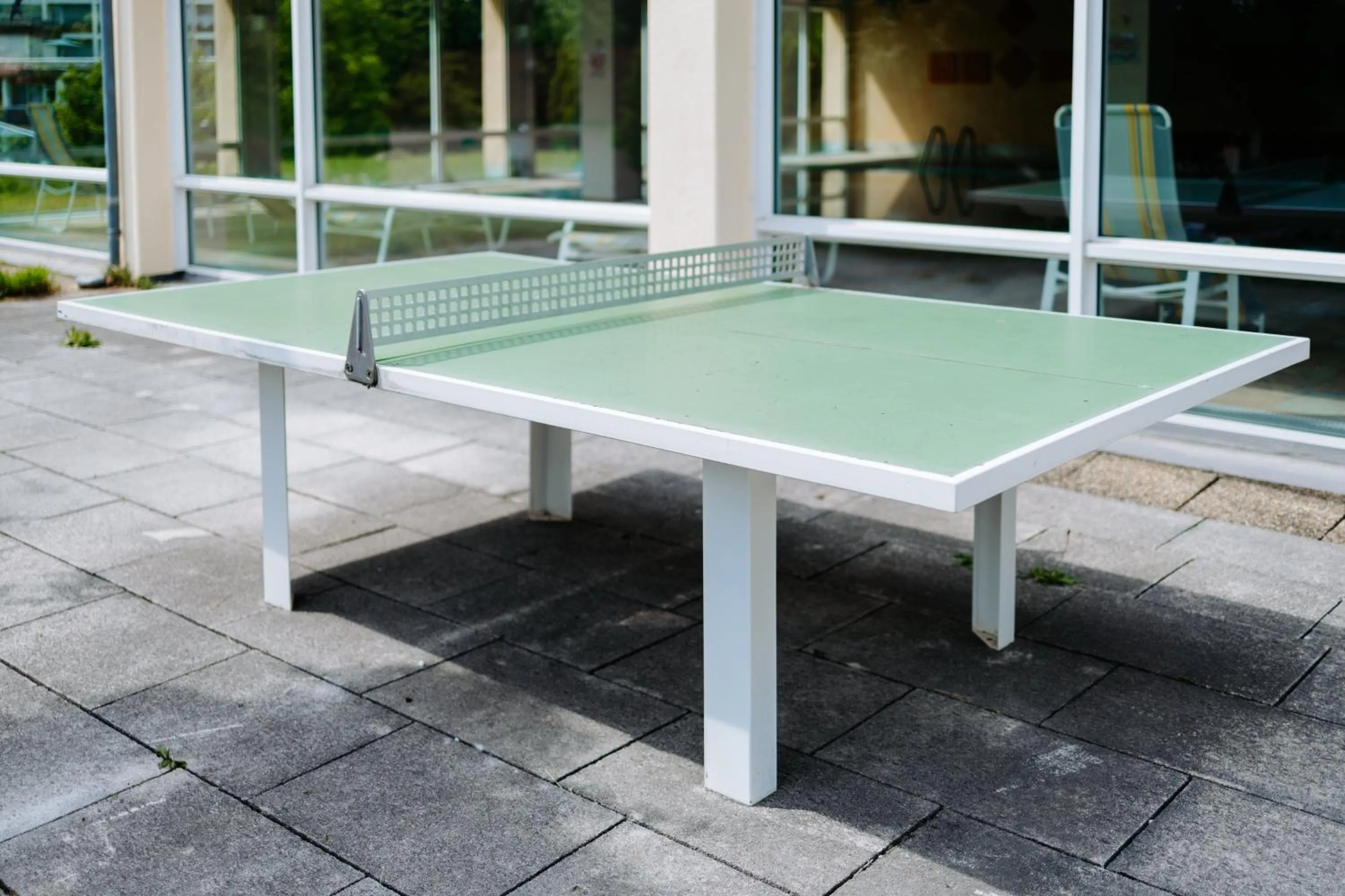 Table tennis in Rosenalm Scheidegg