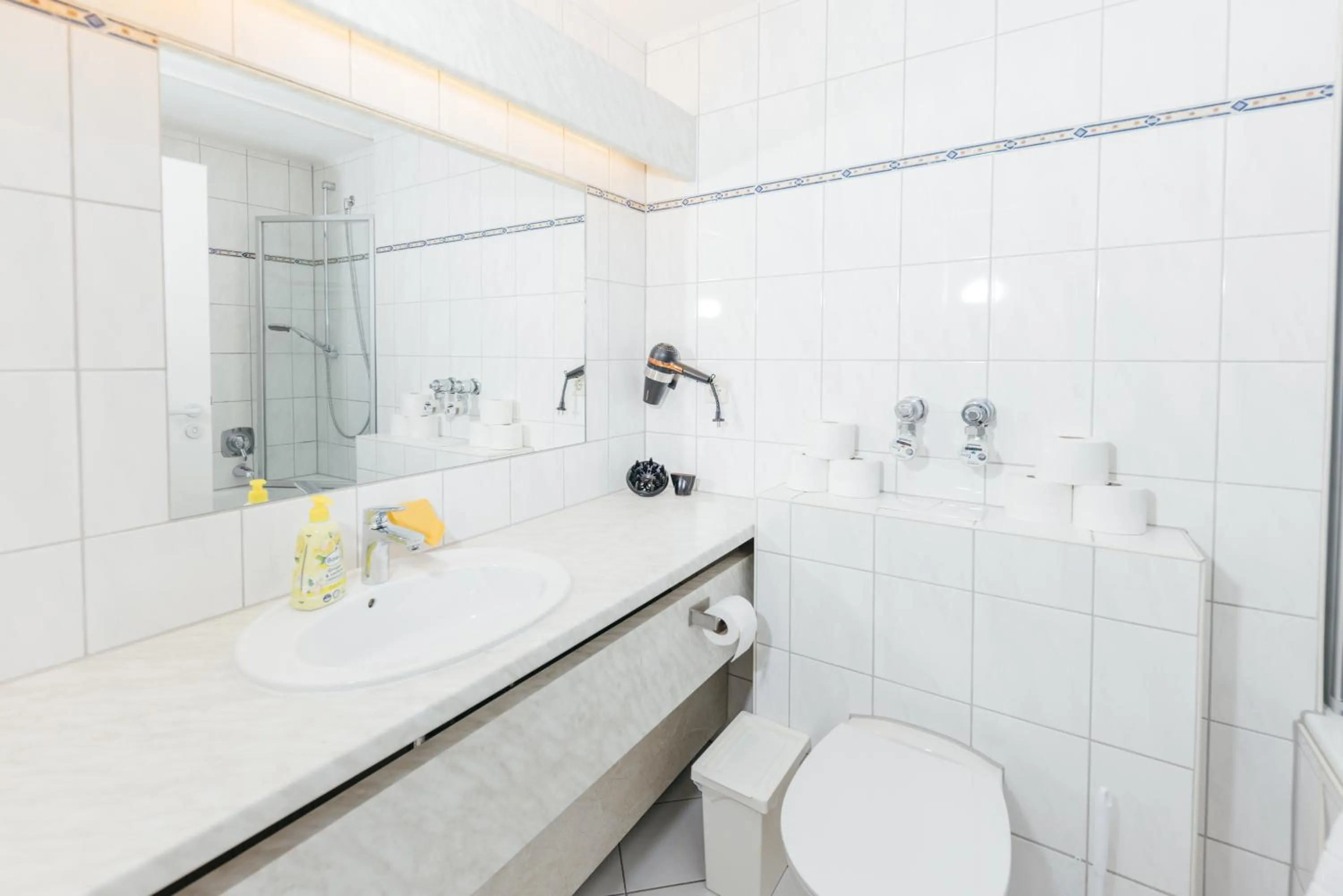 Bathroom in Rosenalm Scheidegg