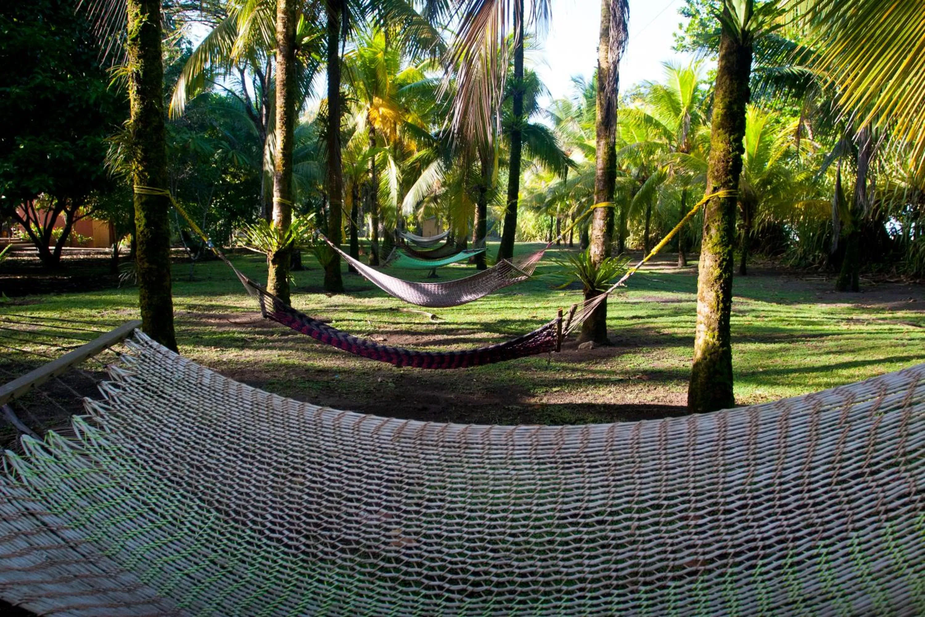 Turtle Beach Lodge