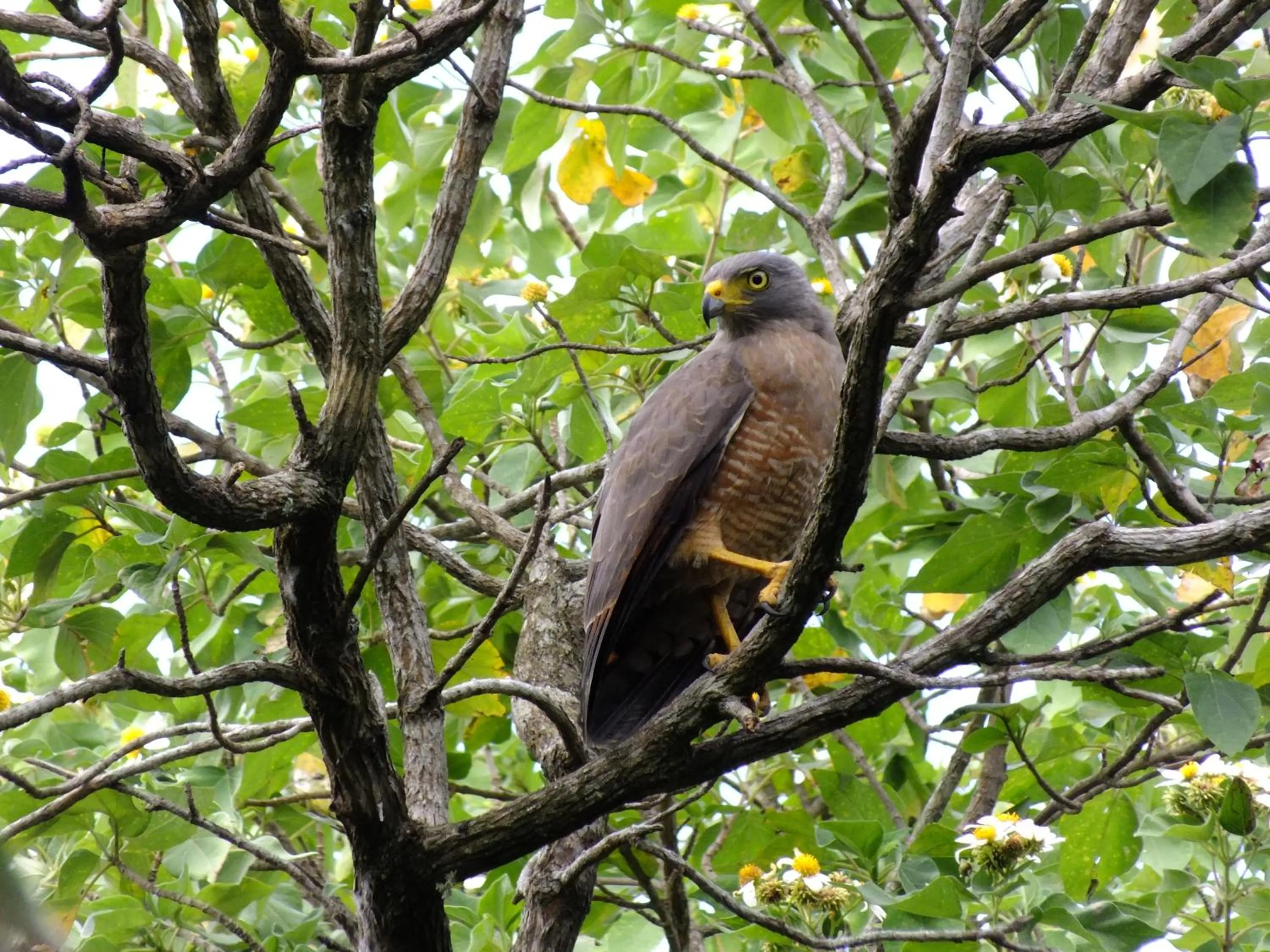 Natural landscape in Cabañas La Pradera