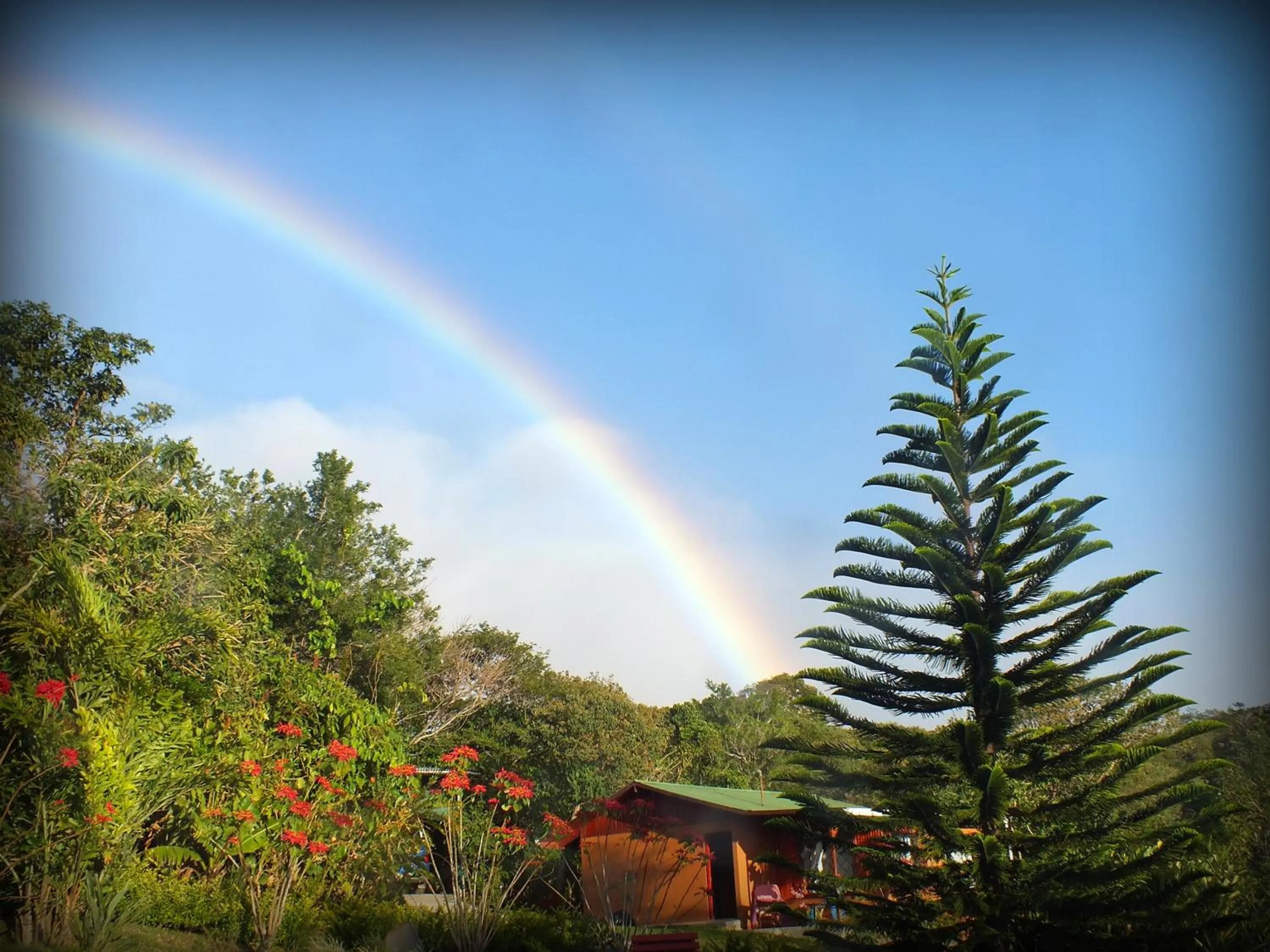 View (from property/room) in Cabañas La Pradera