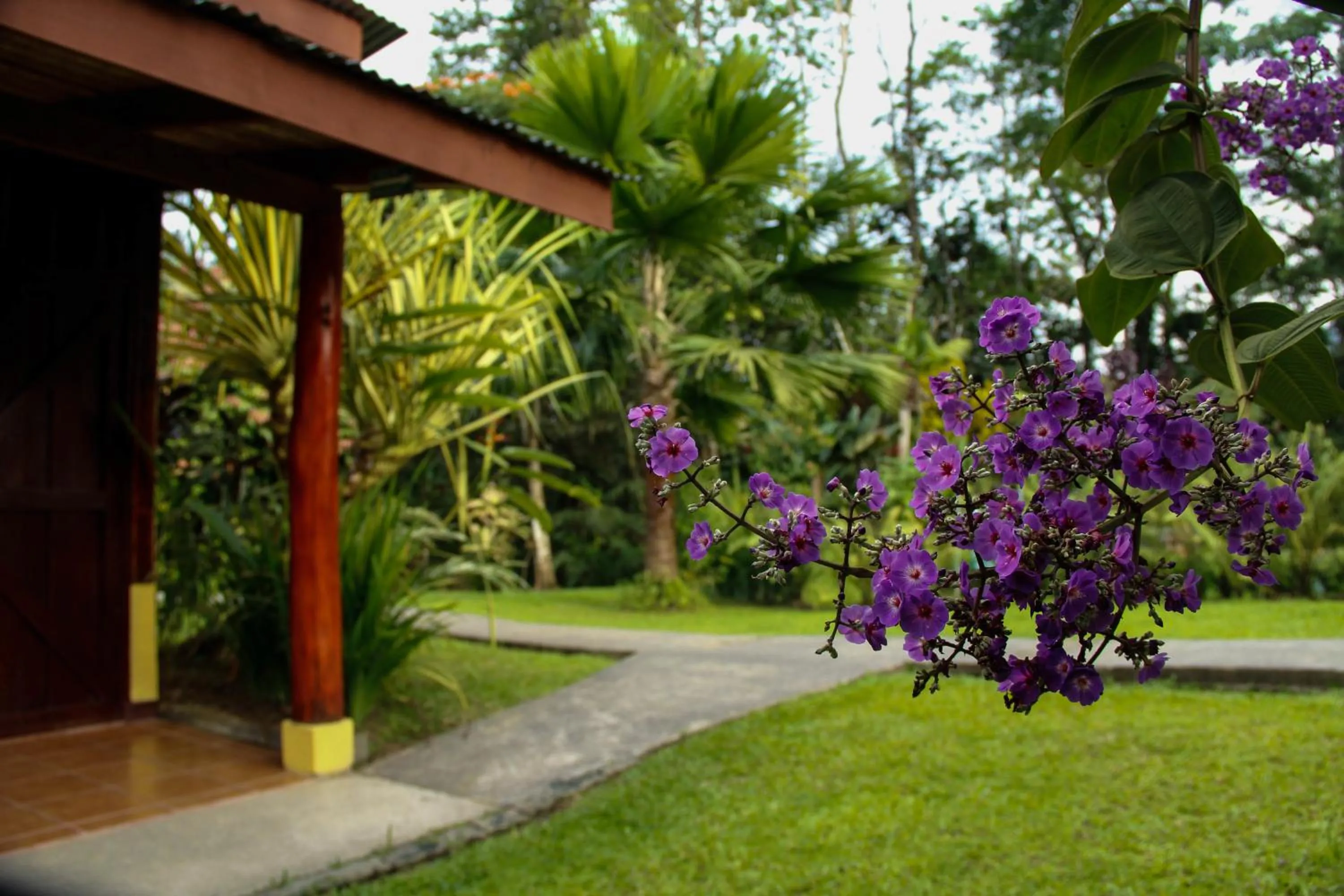 Balcony/Terrace in Catarata Eco Lodge