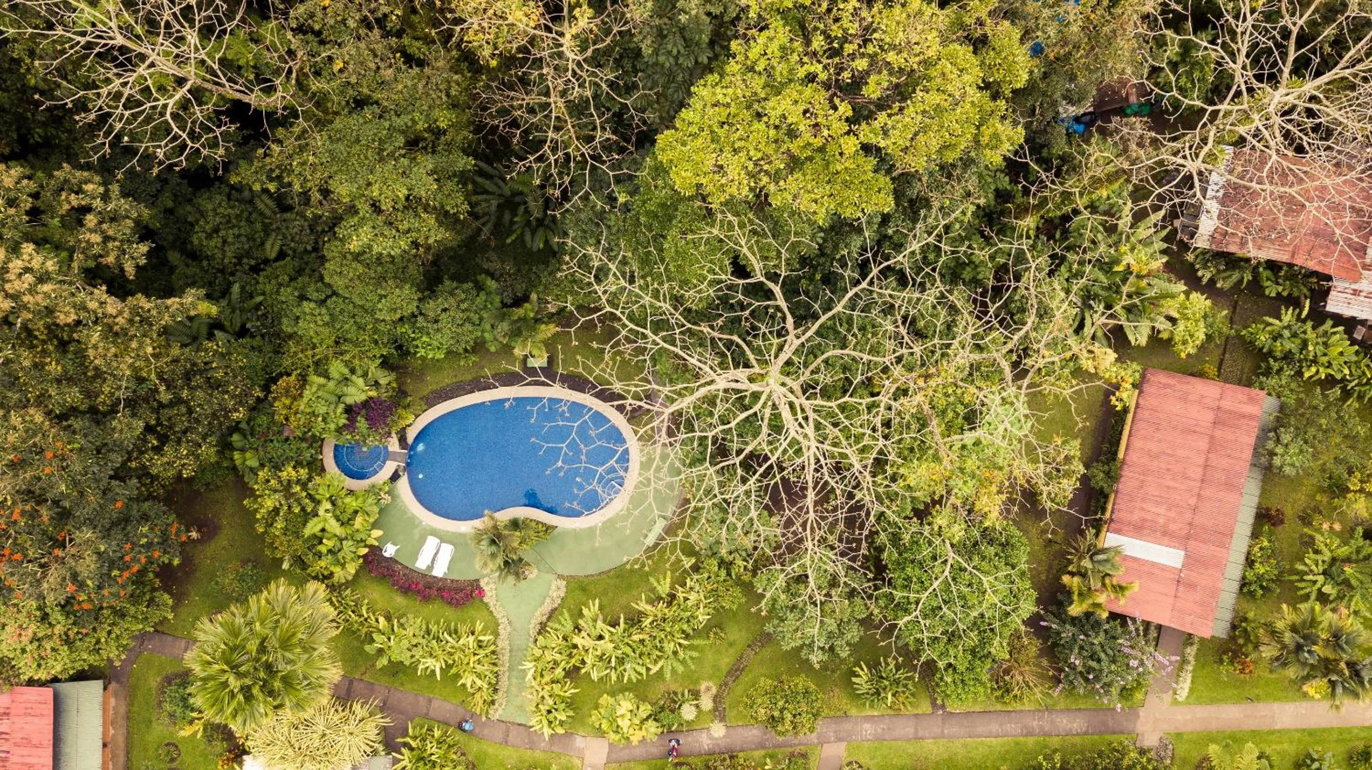 Swimming pool in Catarata Eco Lodge
