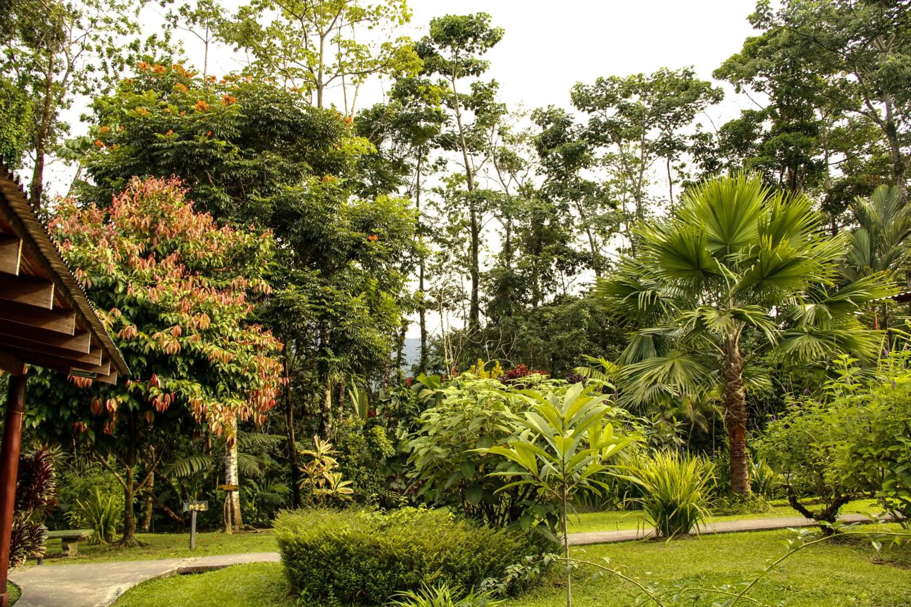 Garden in Catarata Eco Lodge