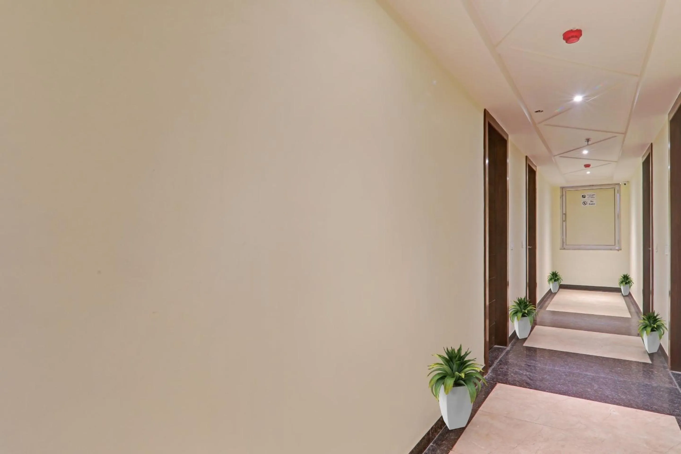 Other in Townhouse Hotel Spotlight