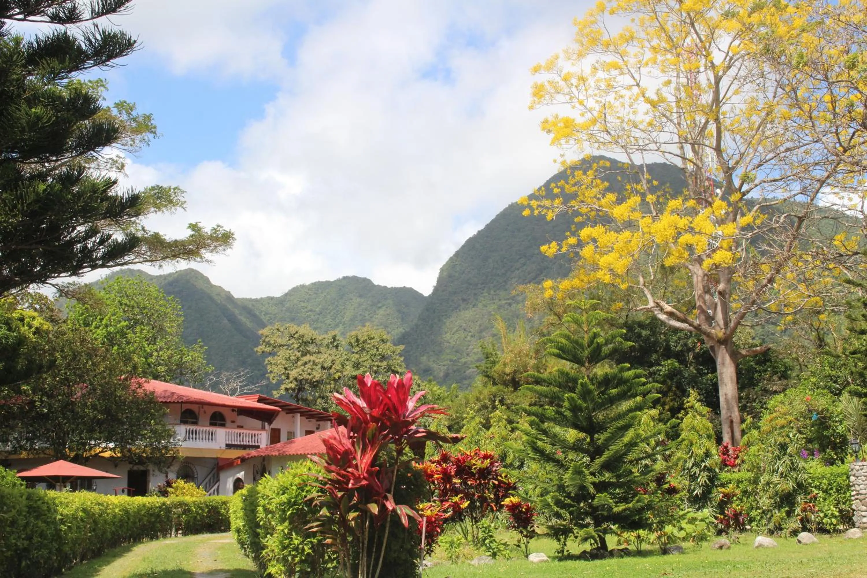 View (from property/room) in Hotel Valle Verde