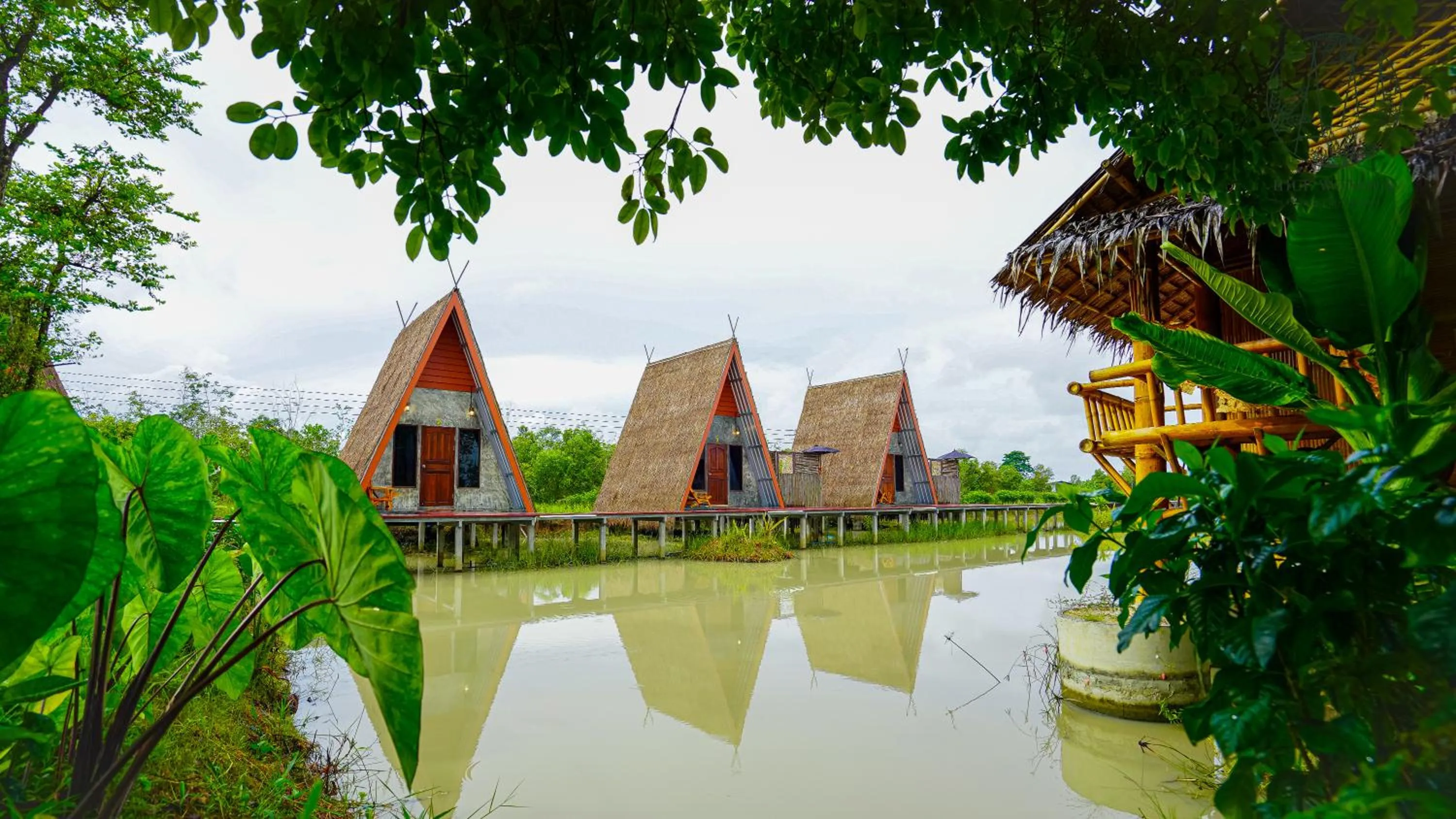 Natural landscape in Rice Wonder Cafe & Eco Resort