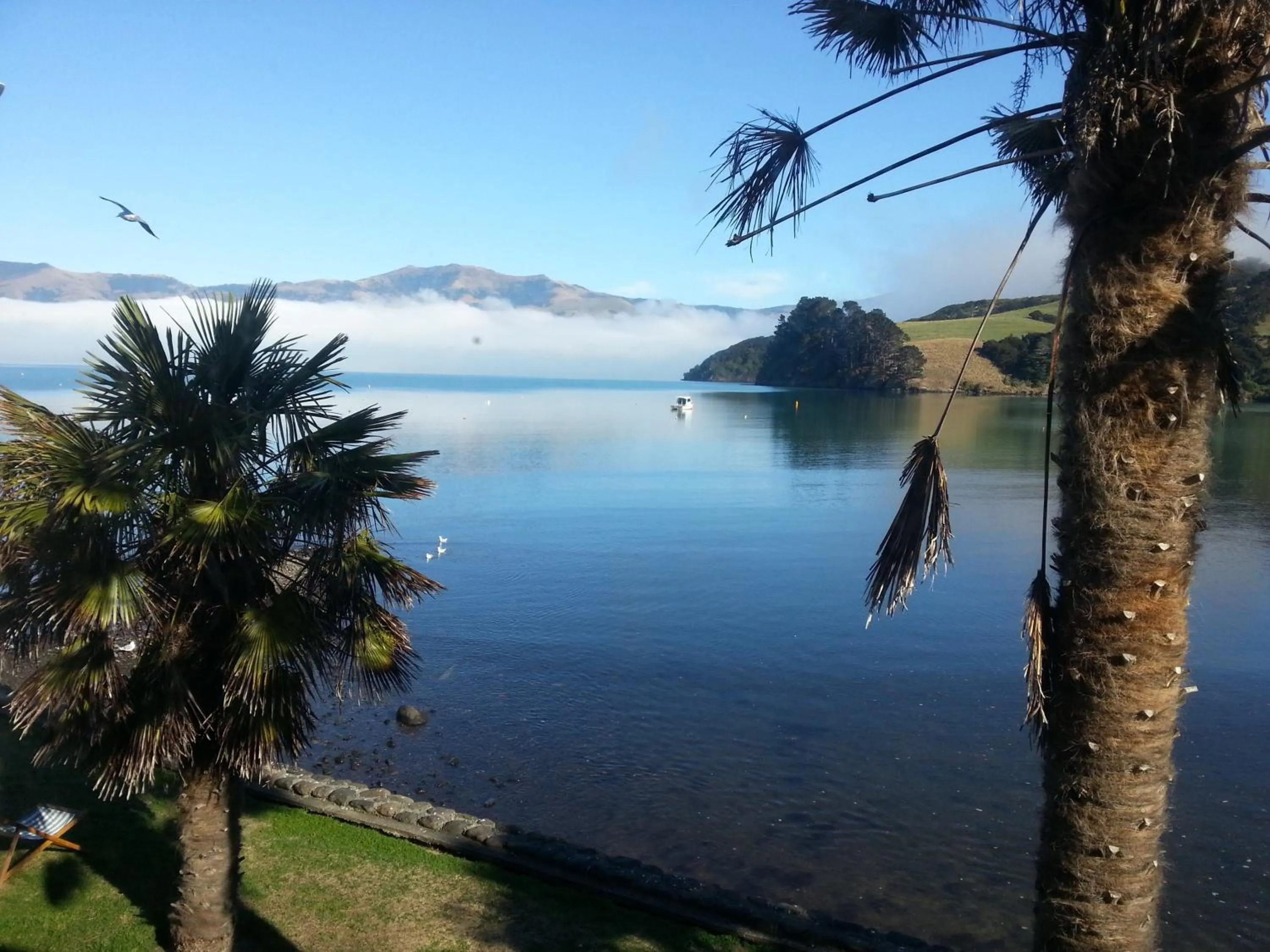 Sea view in Akaroa Waterfront Motels