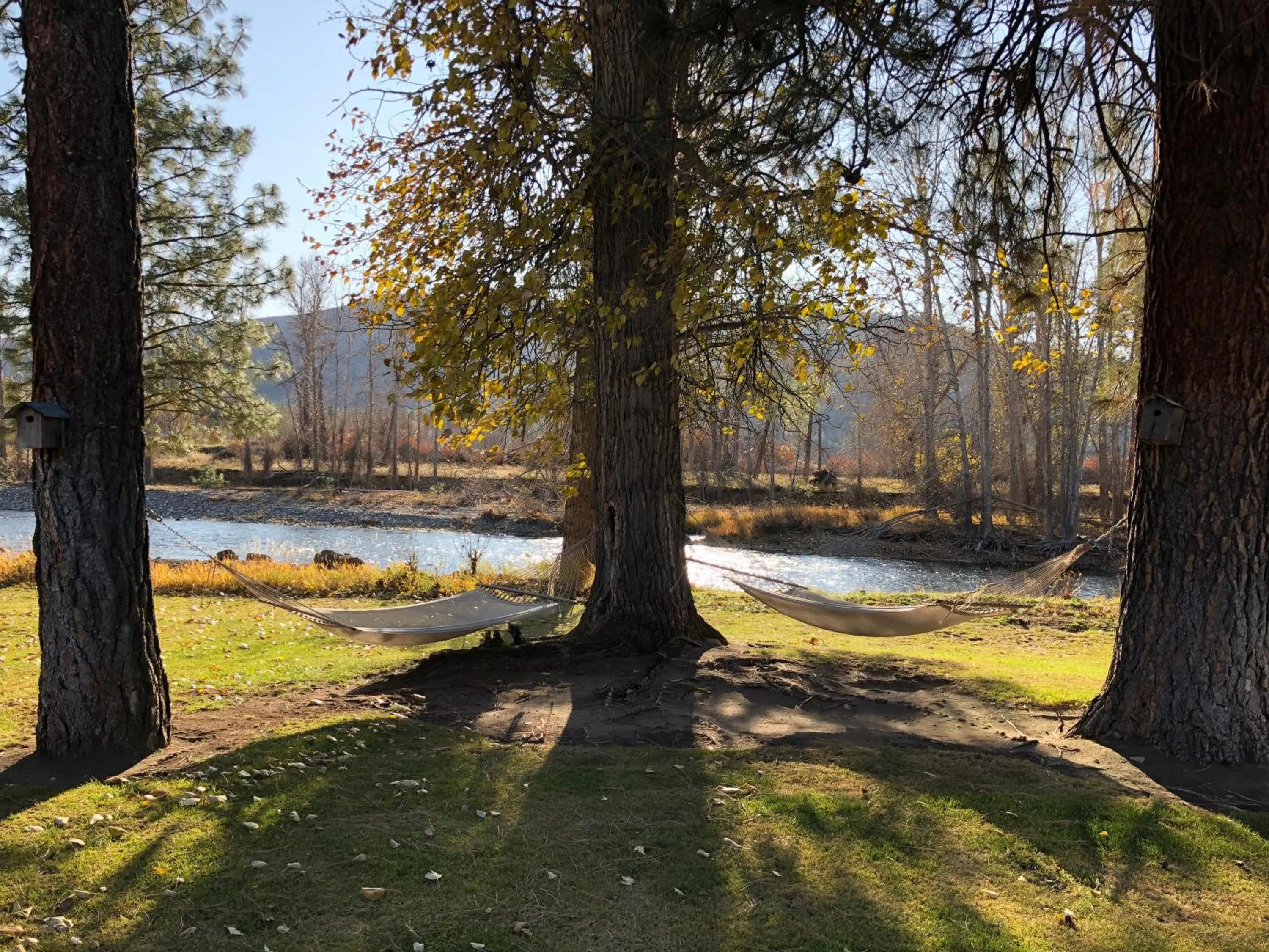 Mountain view in River Run Inn