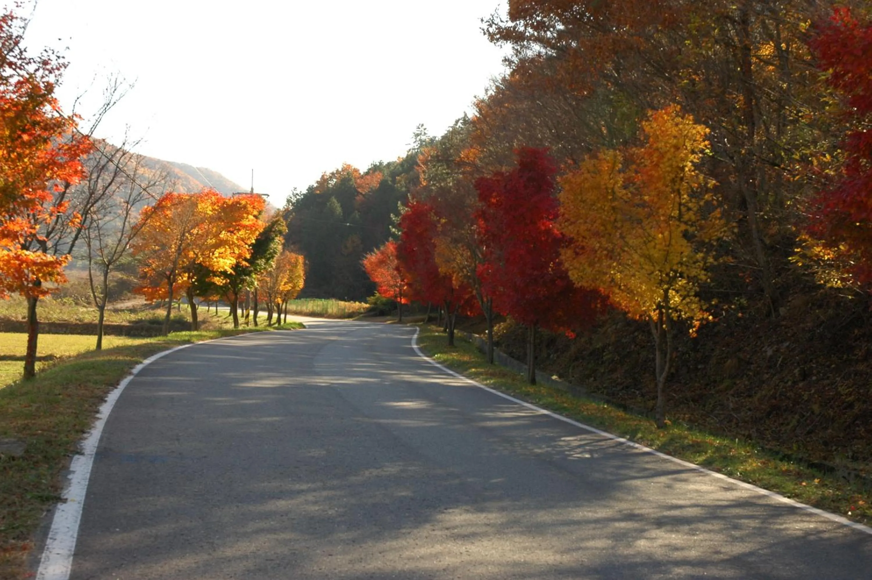 Street view in Namhae Neuhaus