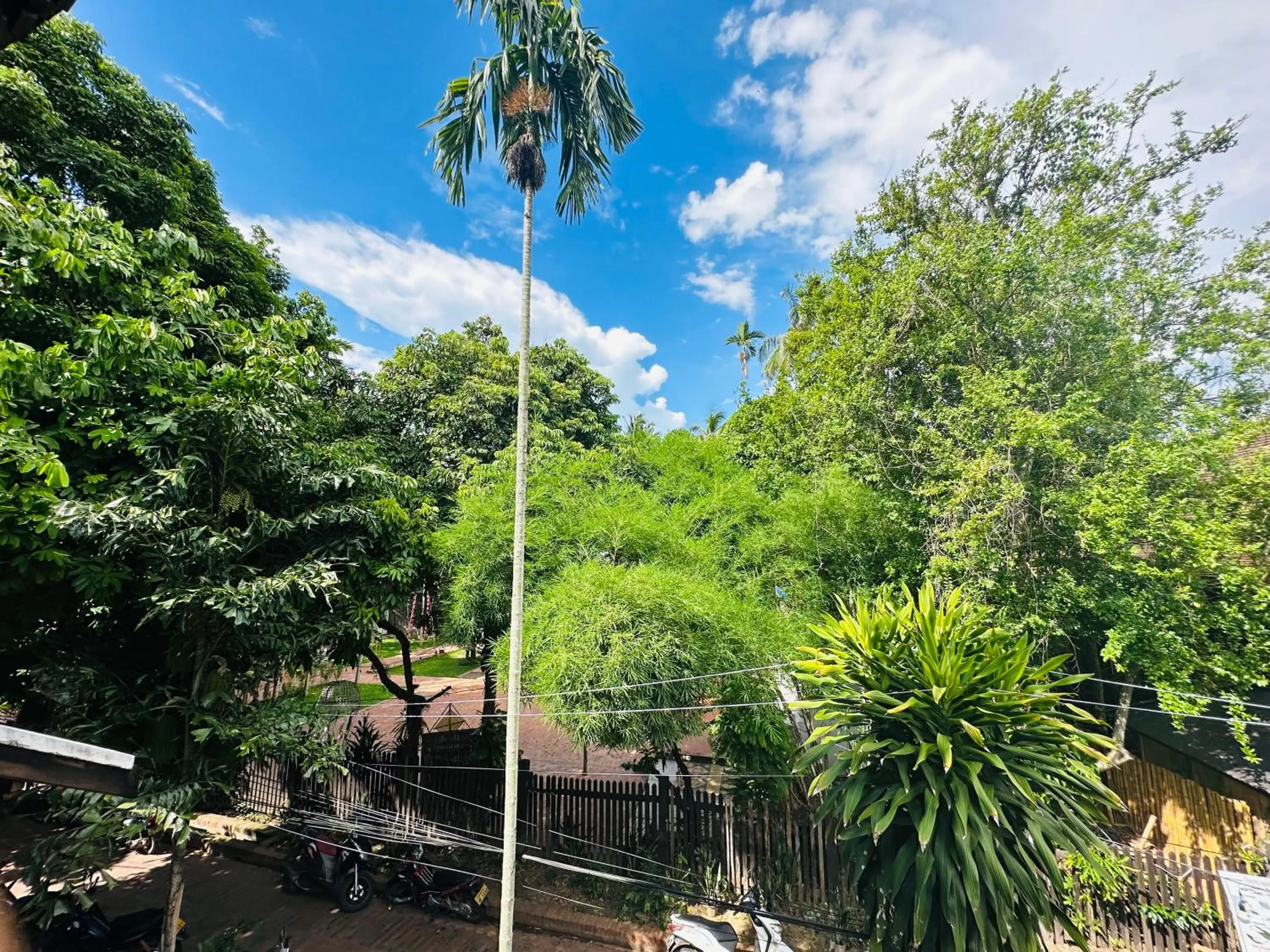 Spring in Thatsaphone Hotel