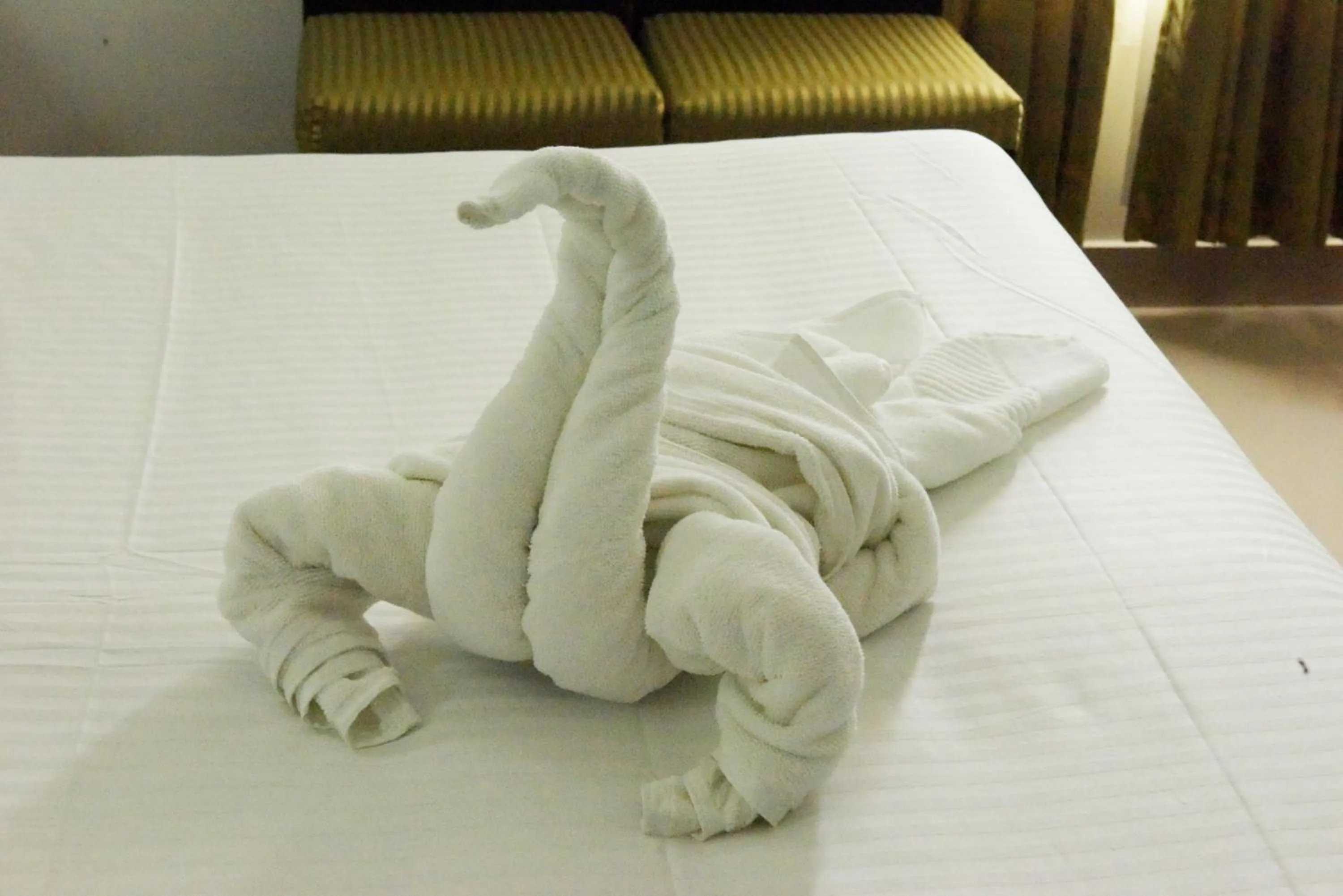 Paray Village County