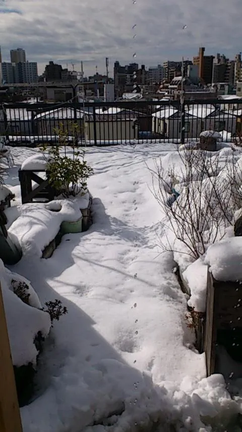 View (from property/room) in Tokyo Guest House 2020