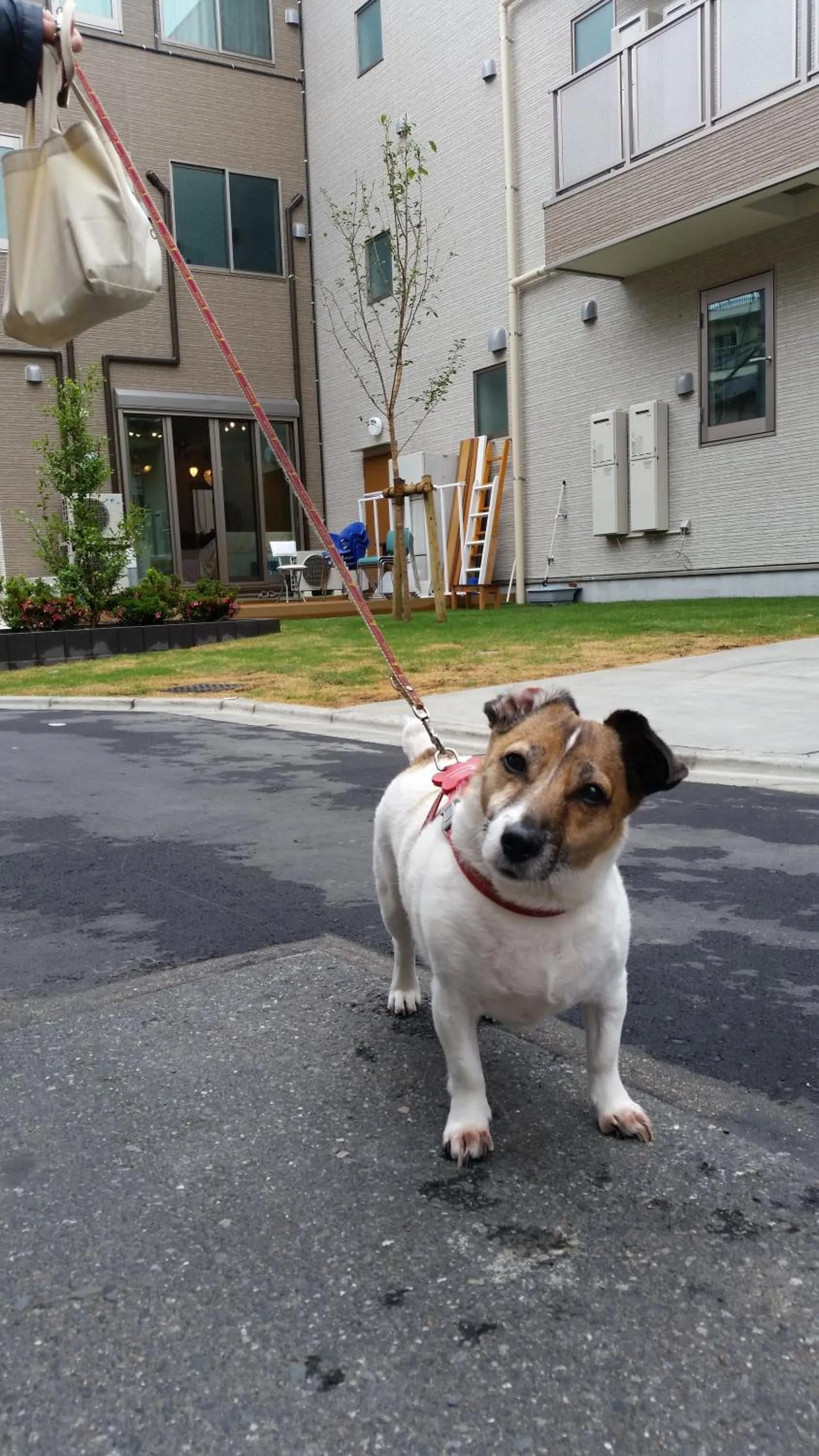 Tokyo Guest House 2020