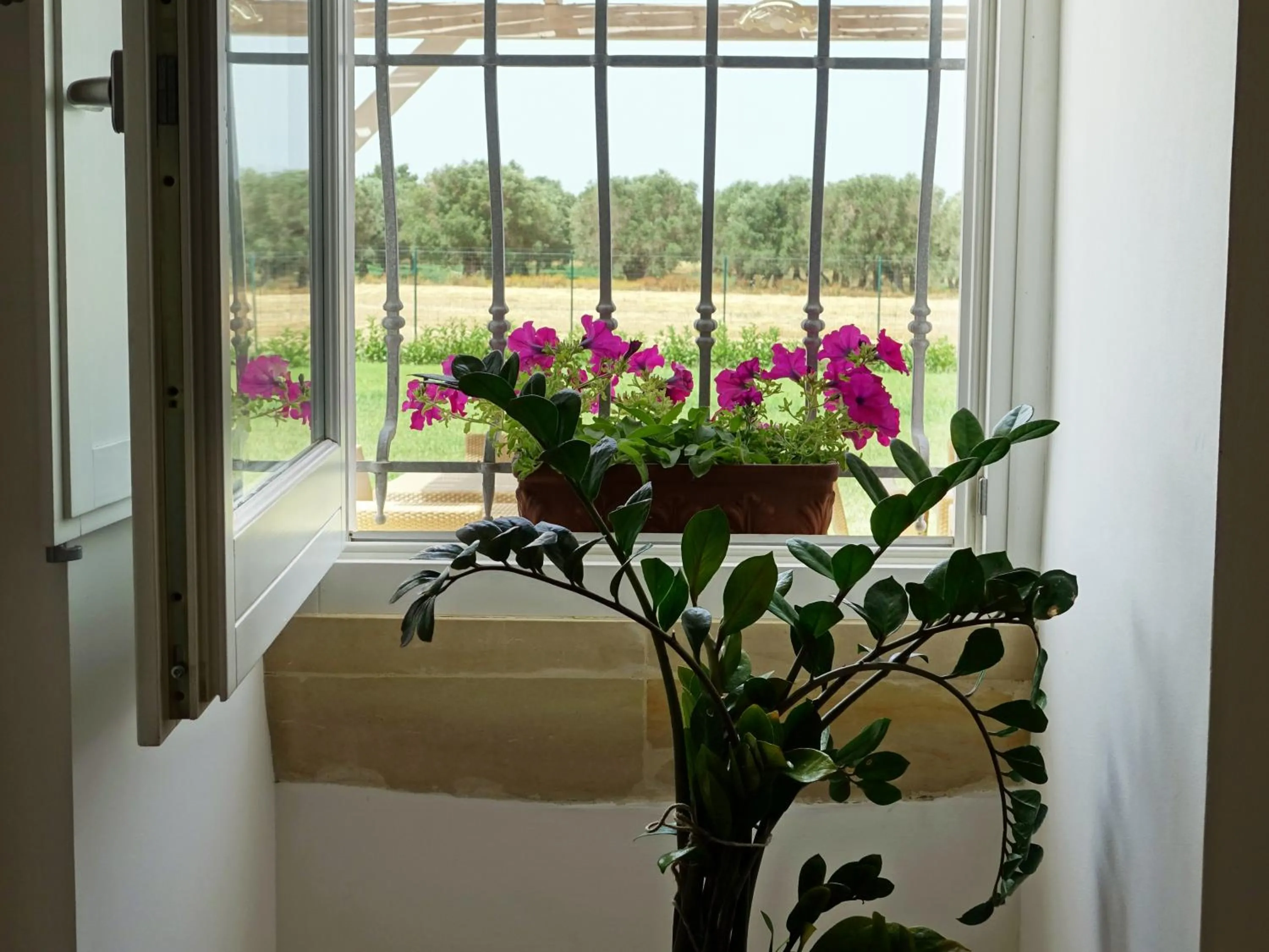 Decorative detail in Casina Bardoscia