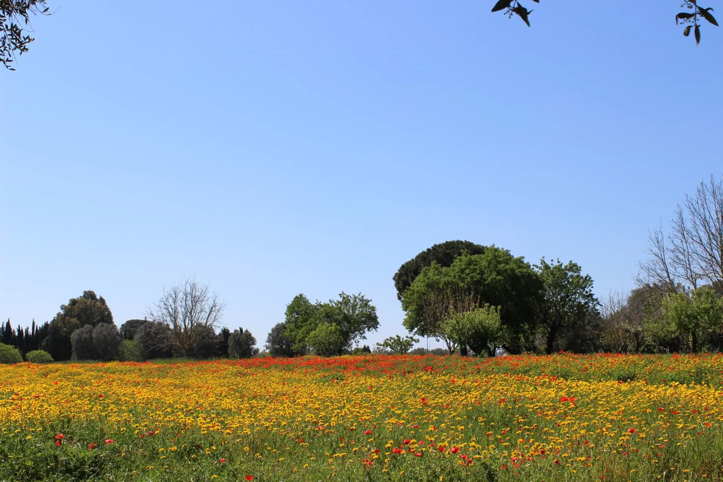 Garden view in Casina Bardoscia