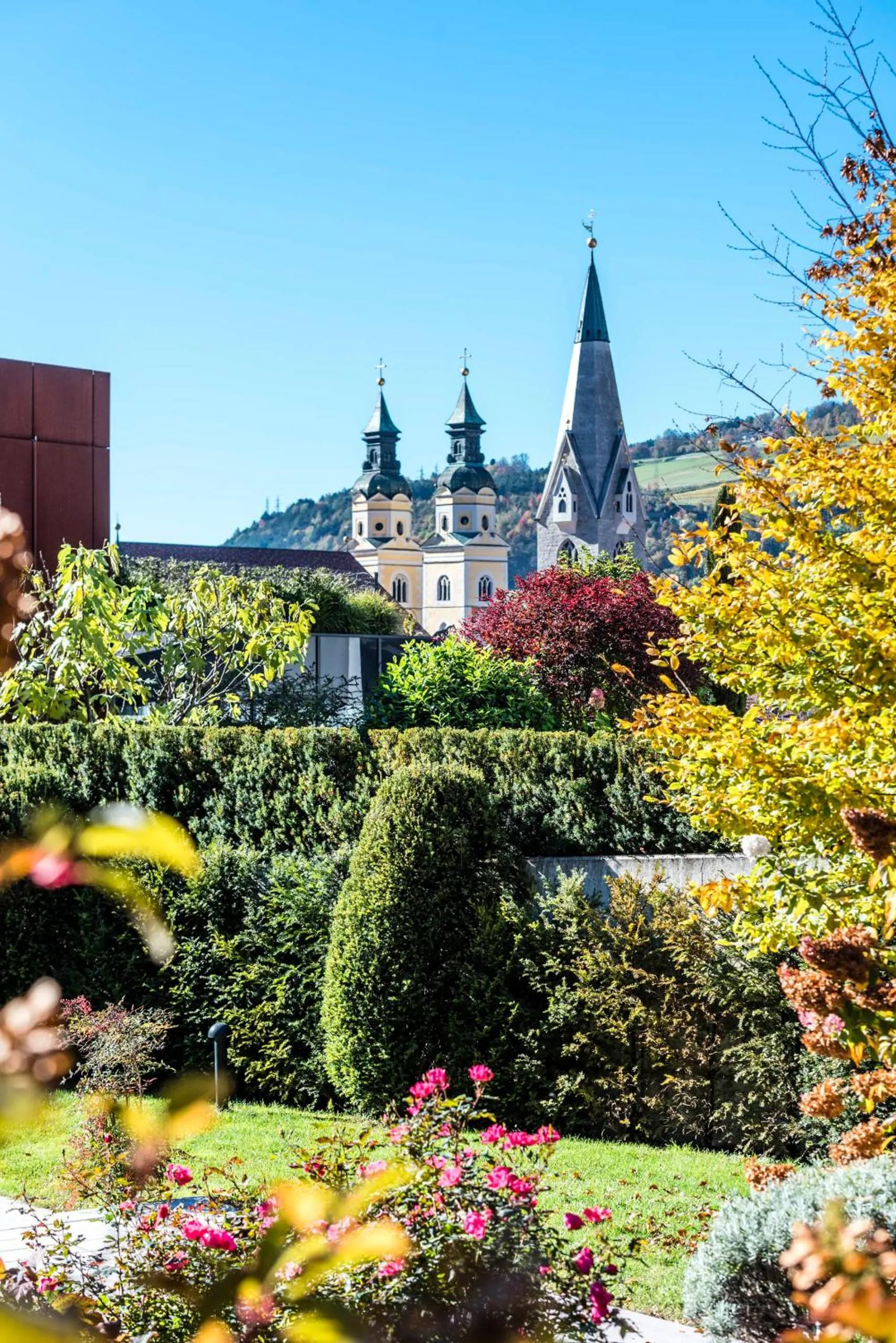 Garden in Hotel Grüner Baum