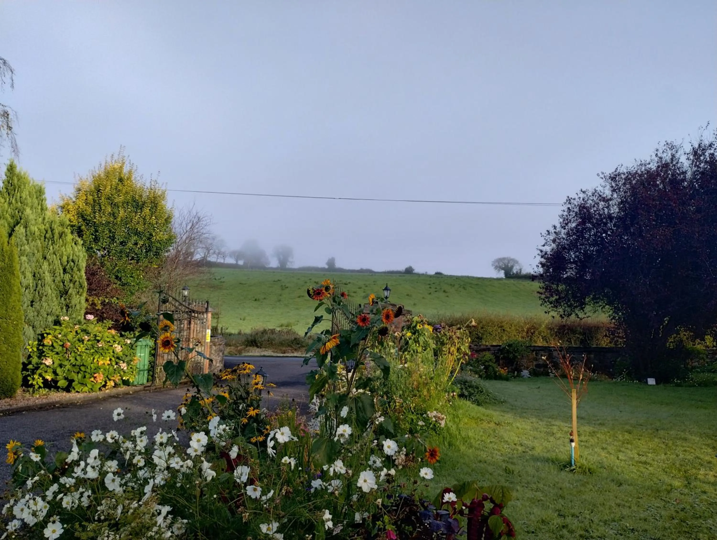 Garden view in Rossclare Lodge