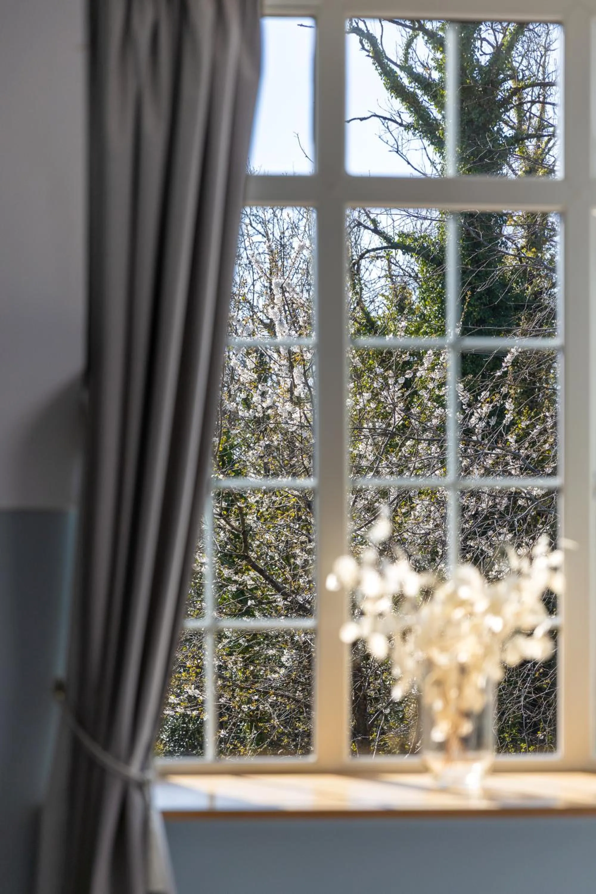 View (from property/room) in Rossclare Lodge