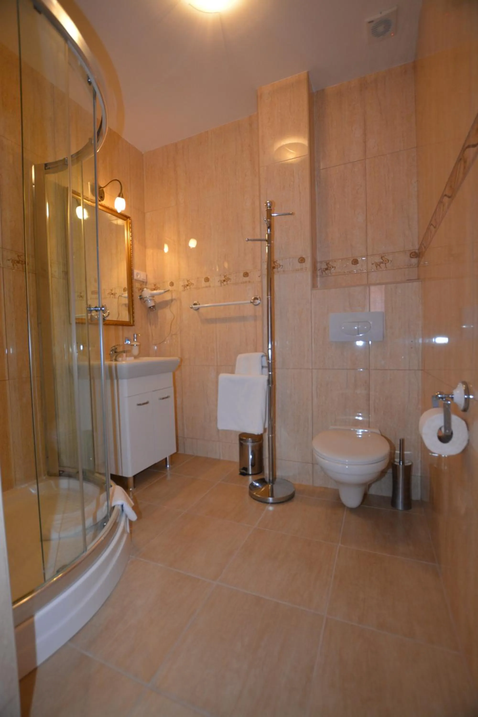 Shower in Hotel Gracja